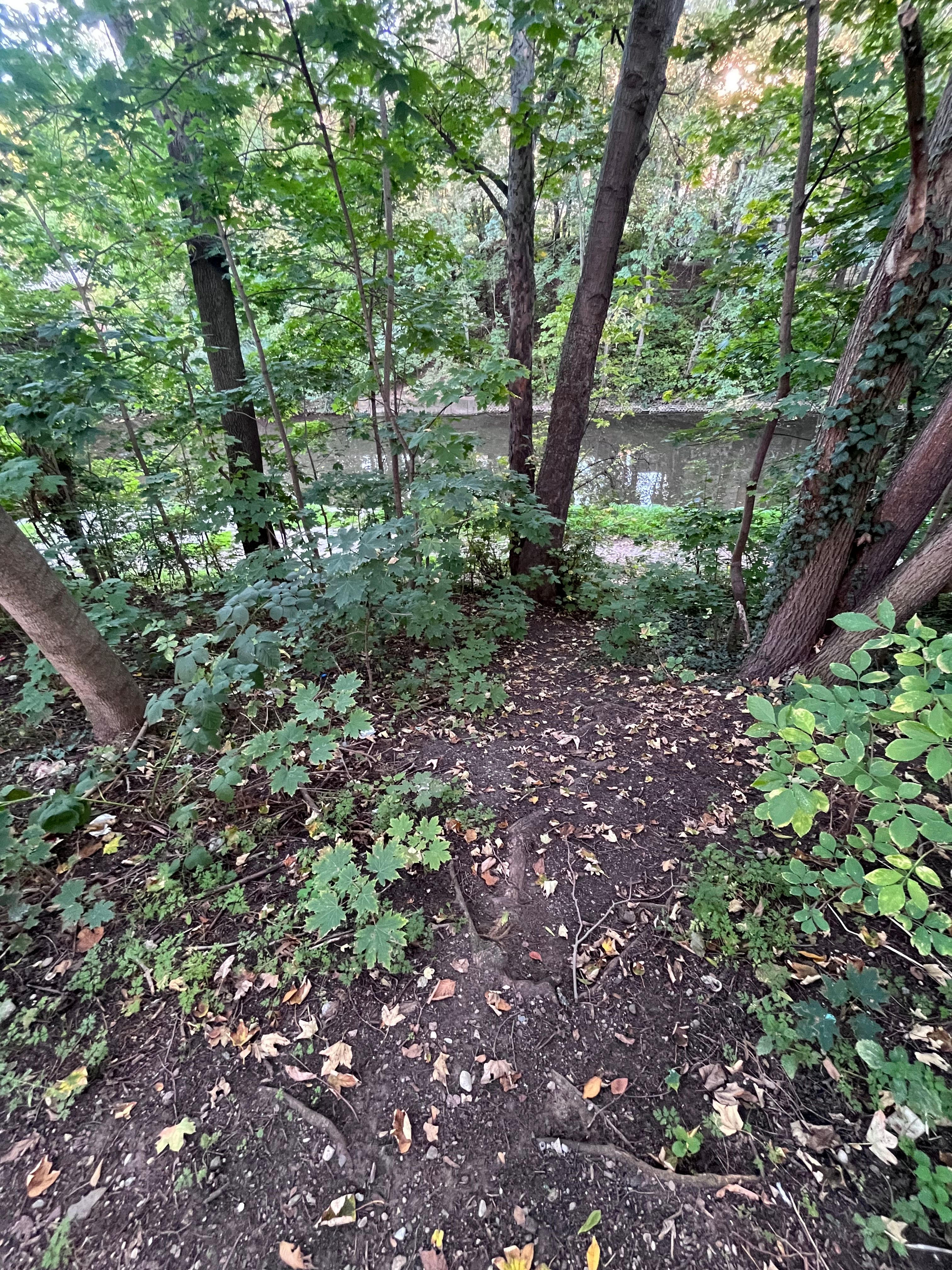 image-17