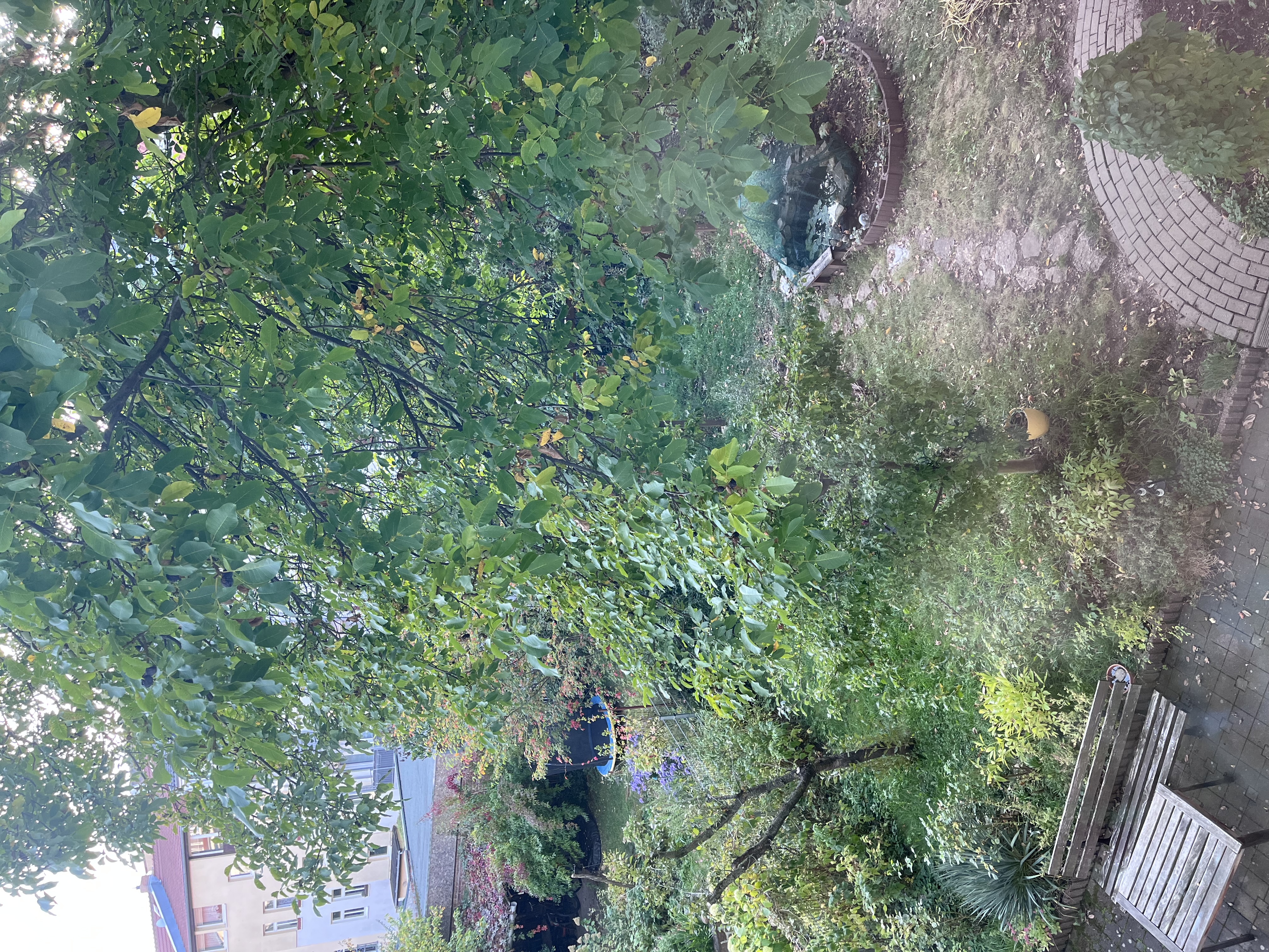 image-16