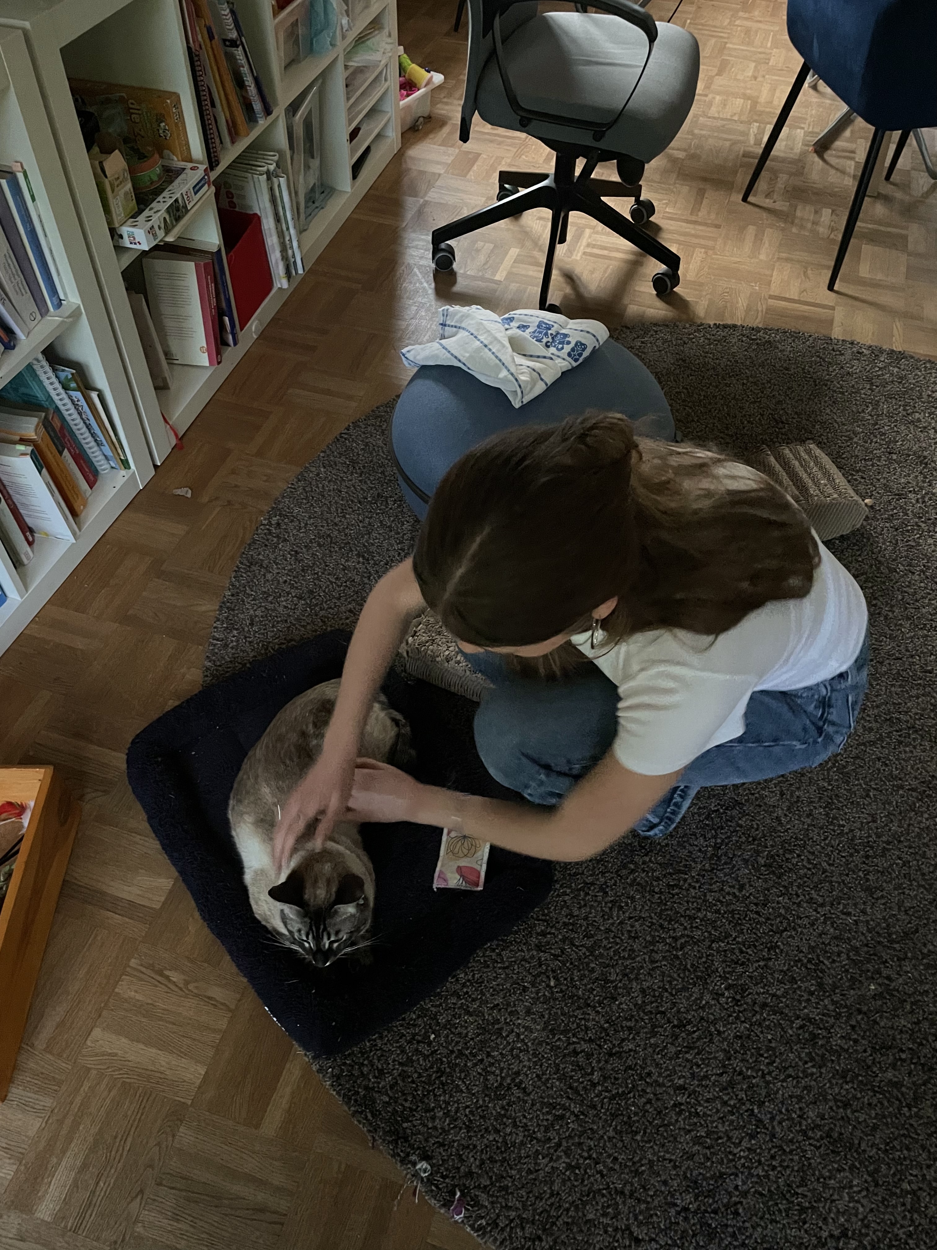 image-5