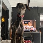Kira