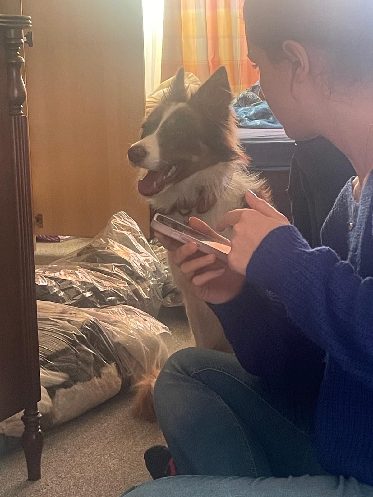 image-10