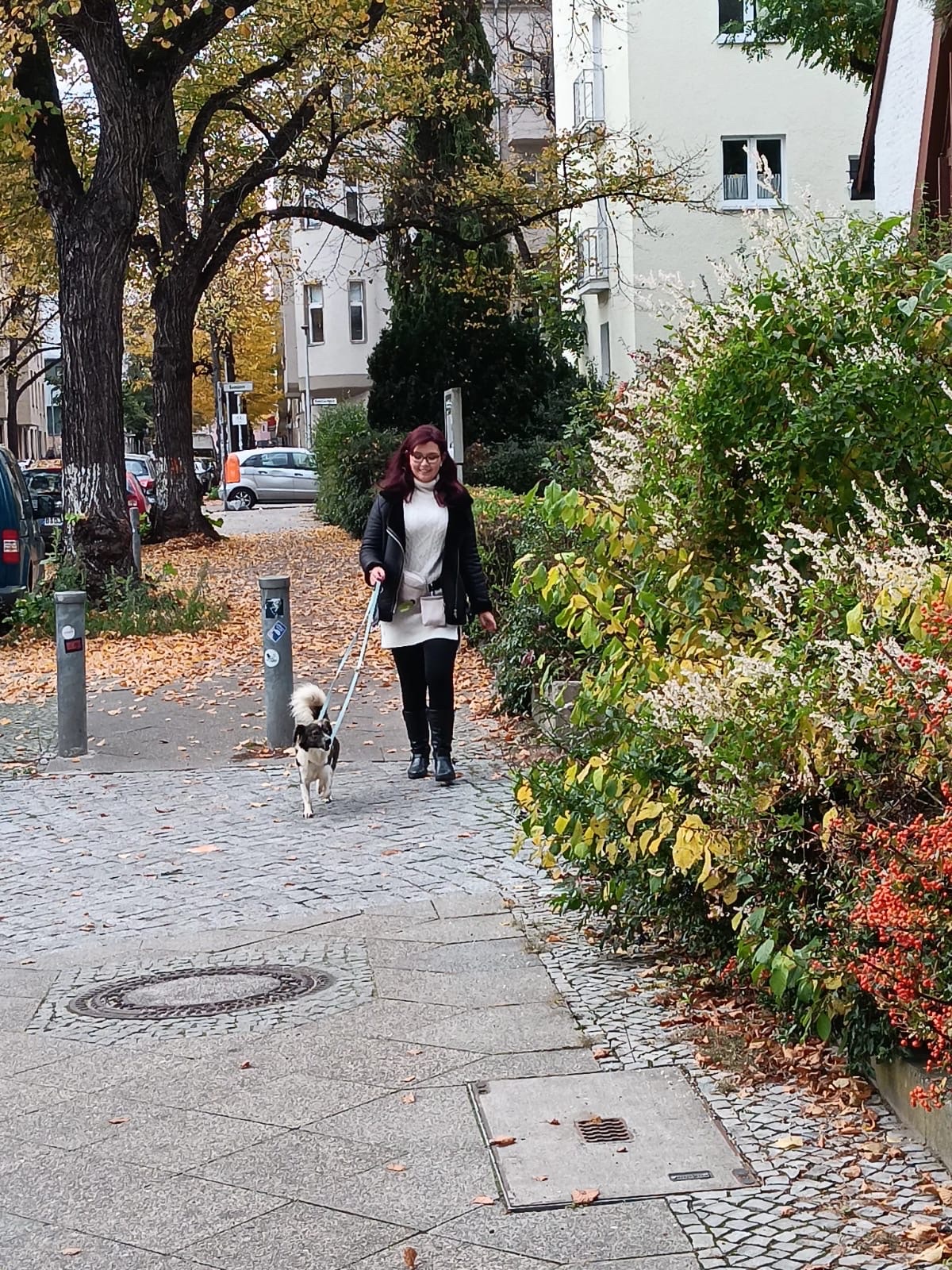 image-12