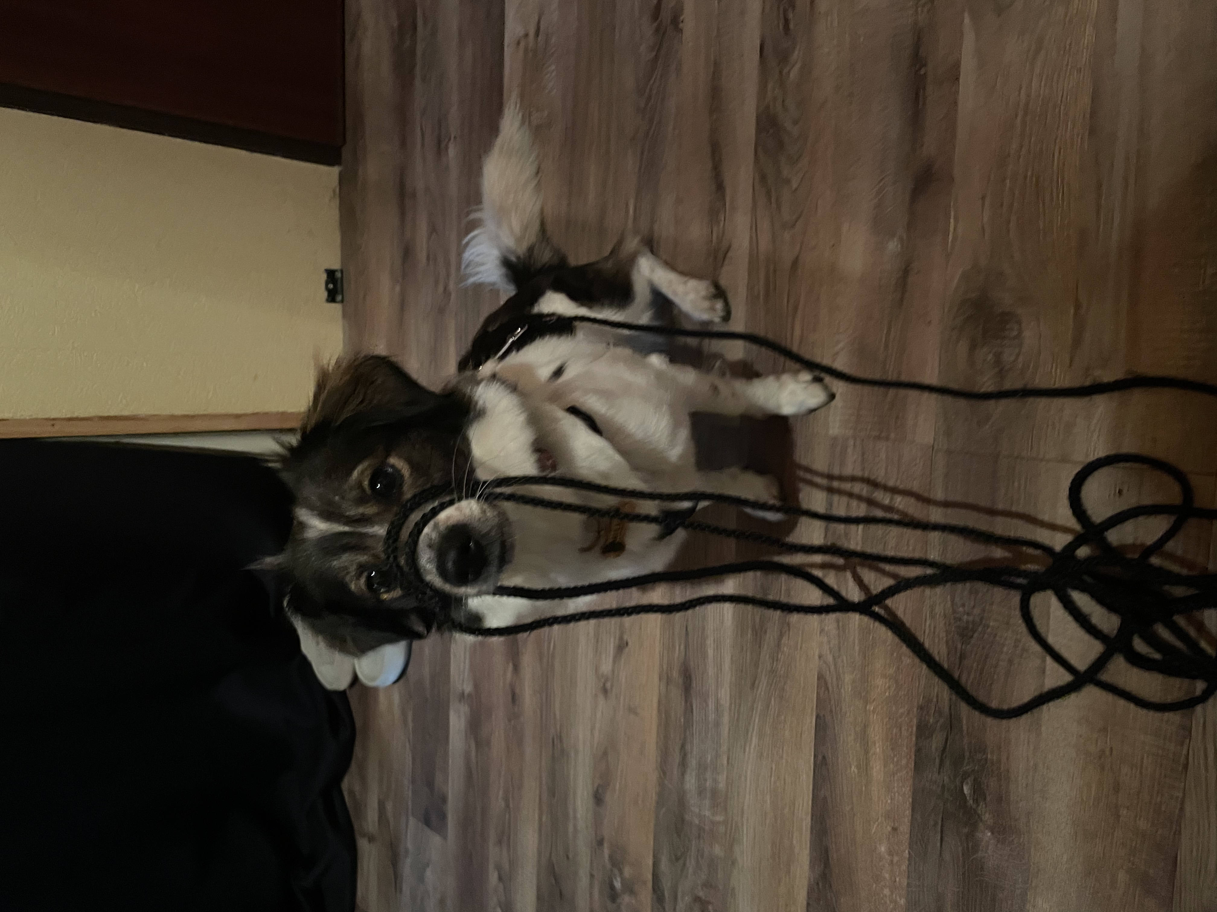 image-7
