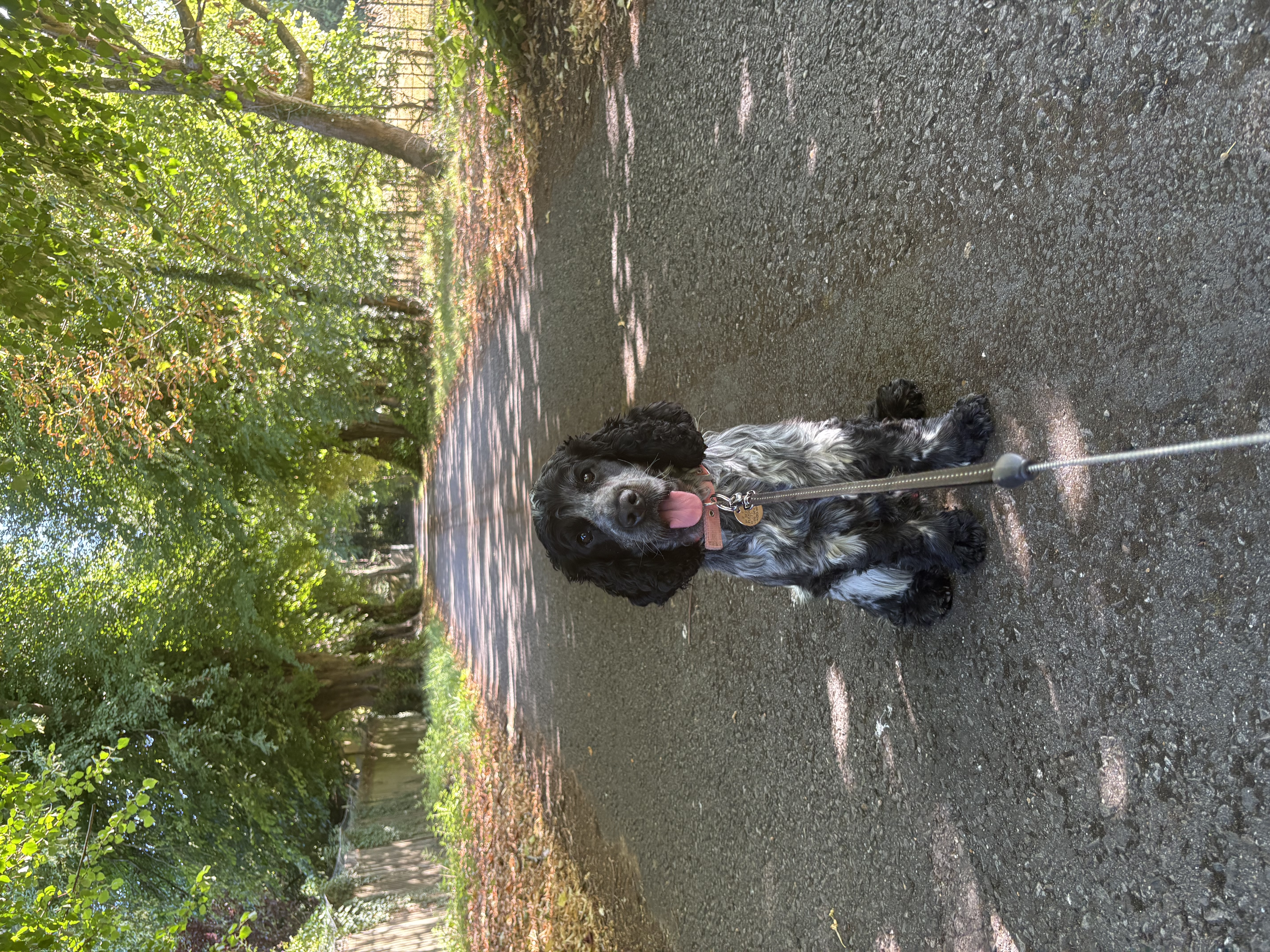 image-10