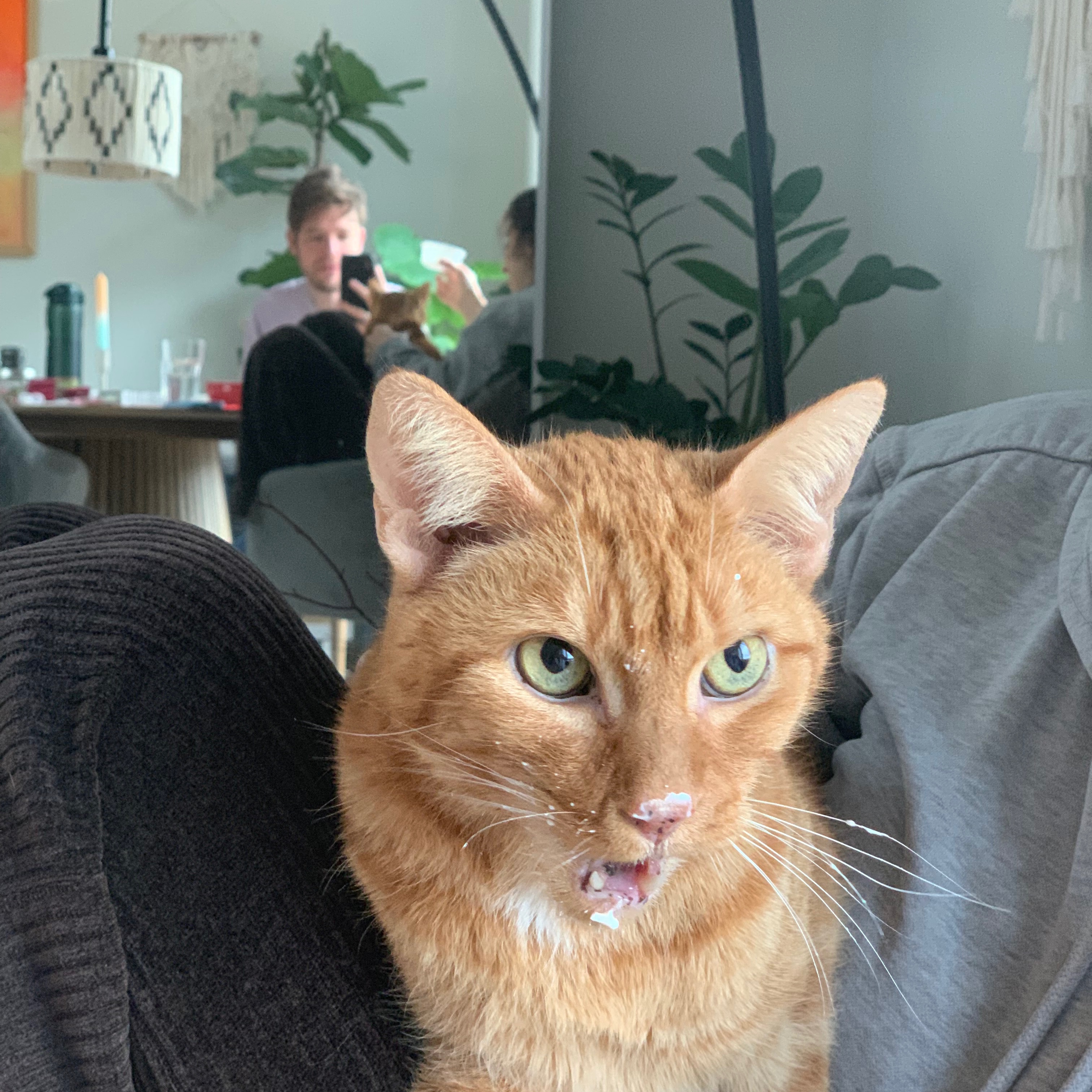 Alexander