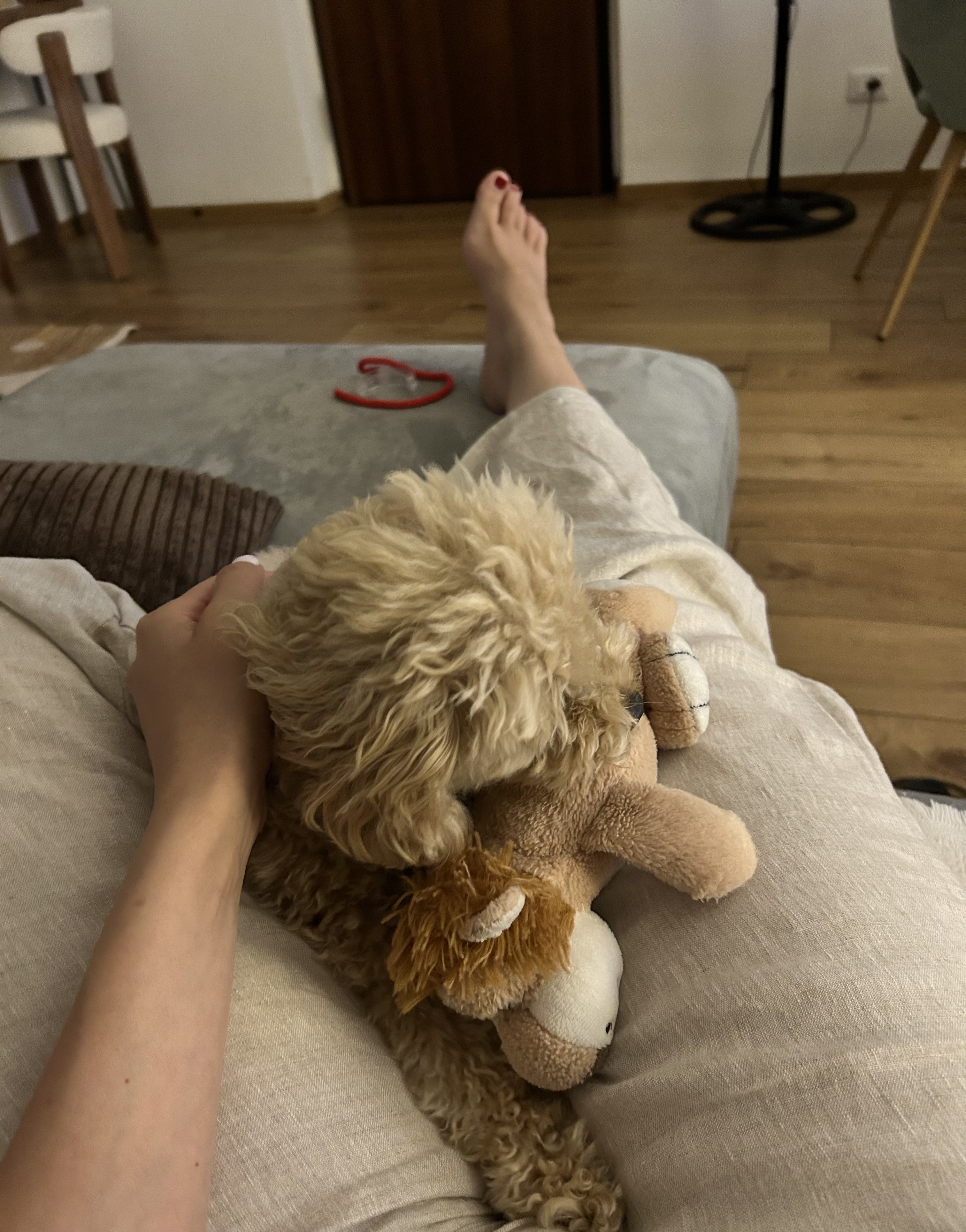 image-6