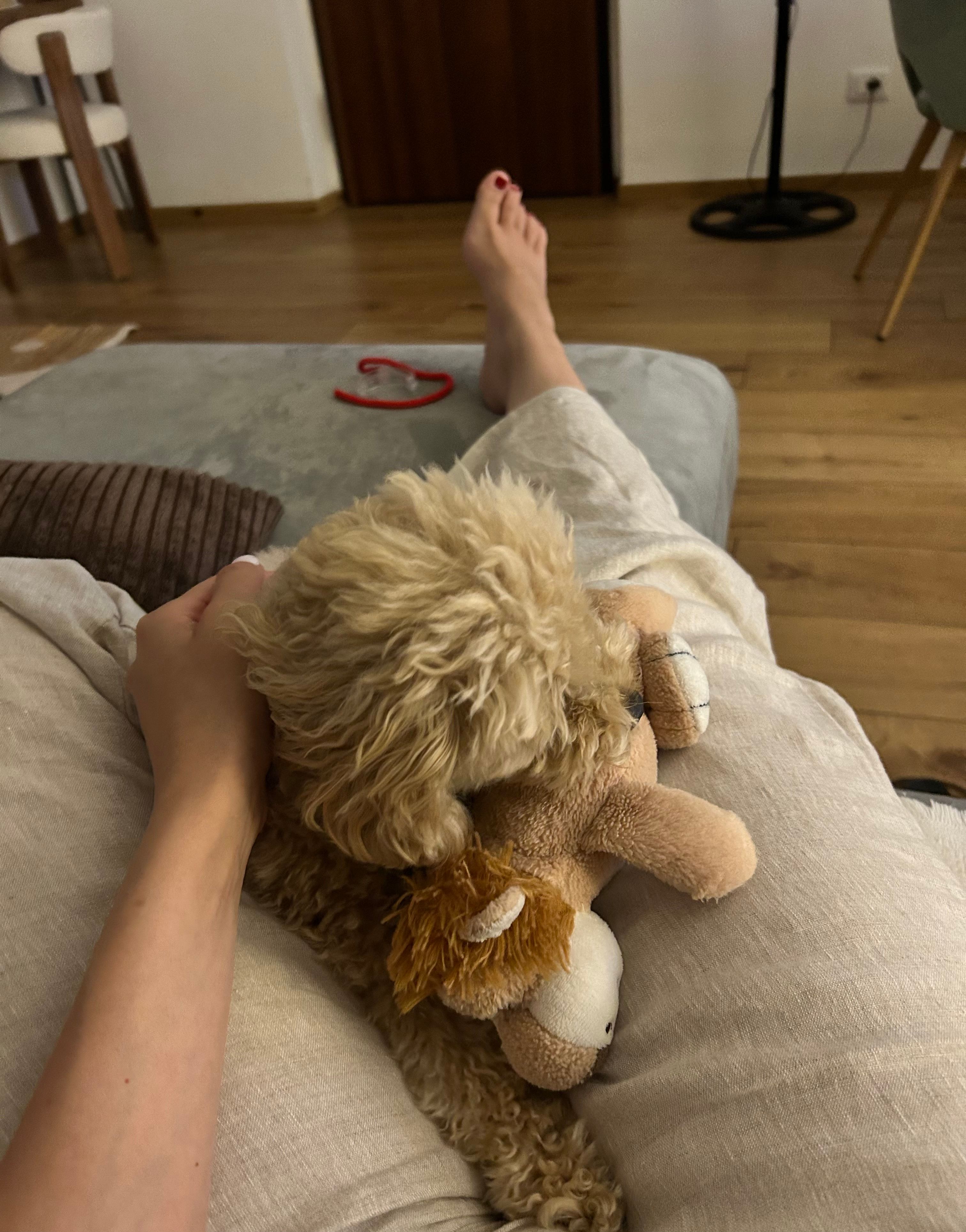 image-6