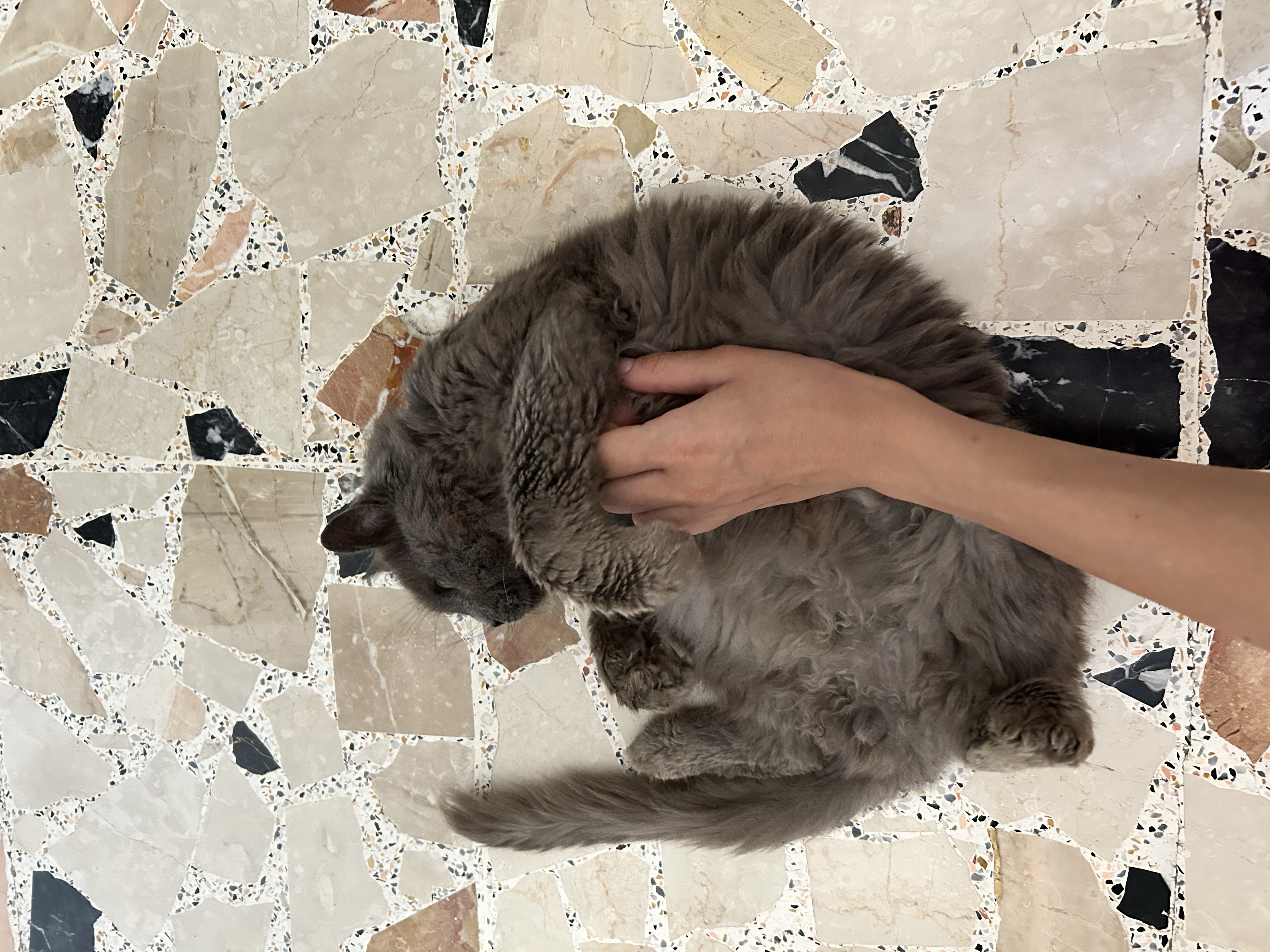 image-18