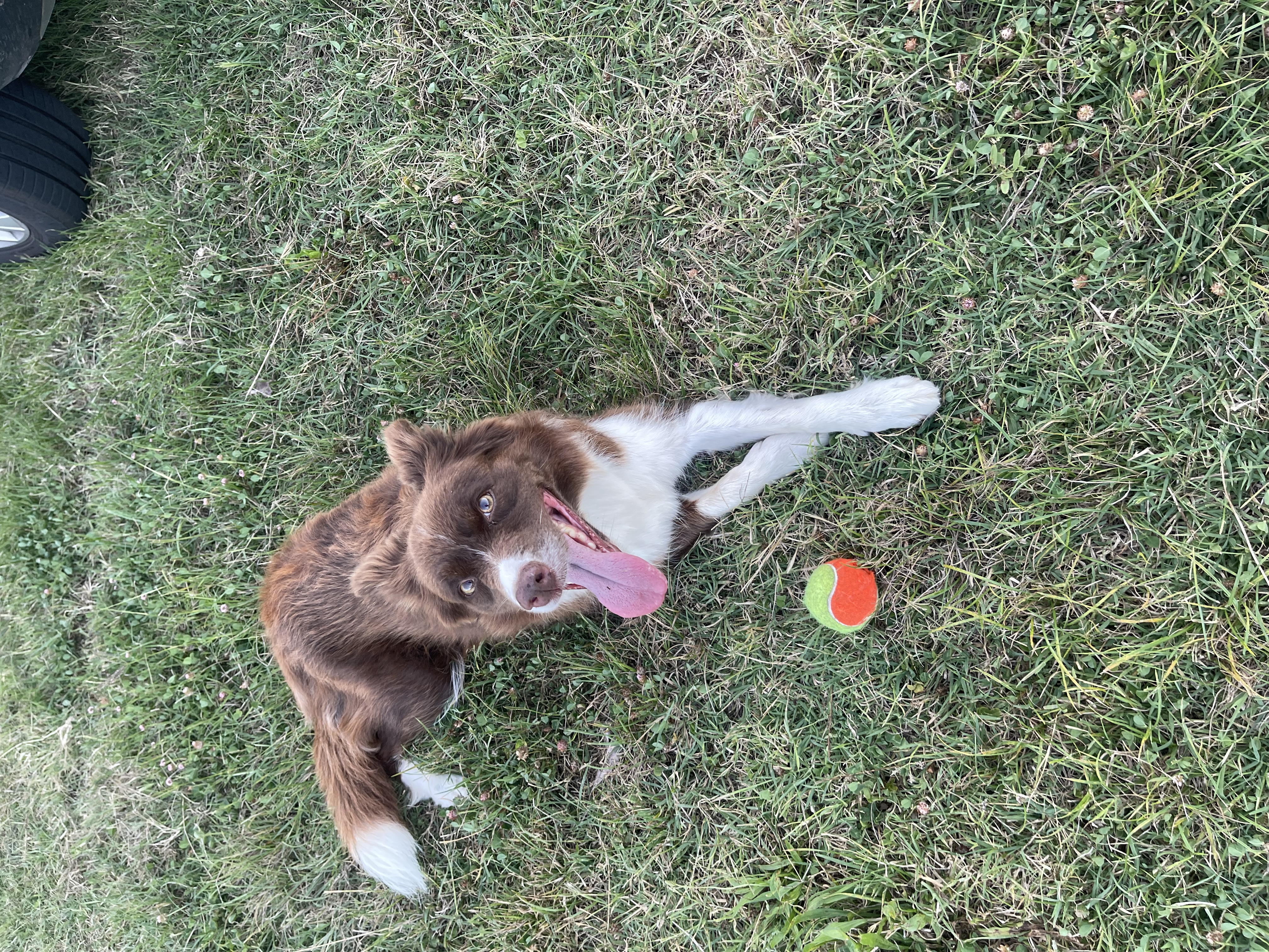 image-6
