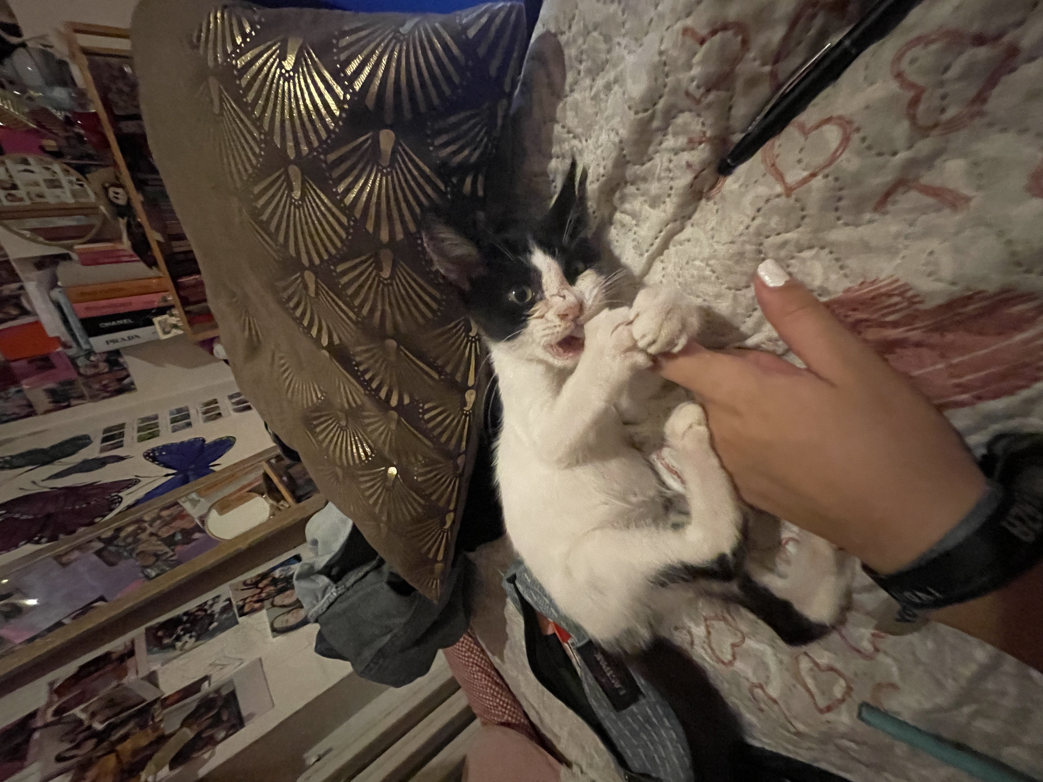 image-8