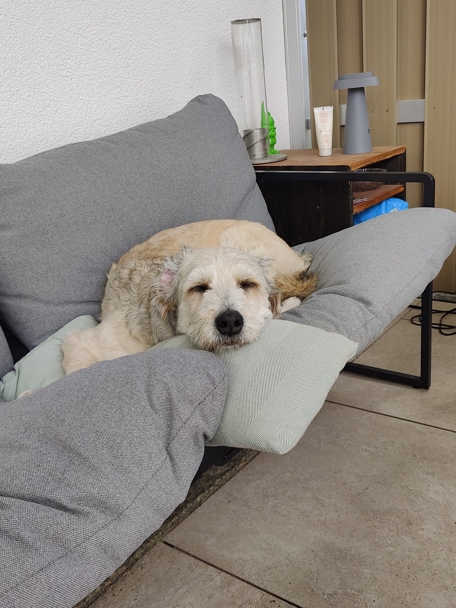 image-5