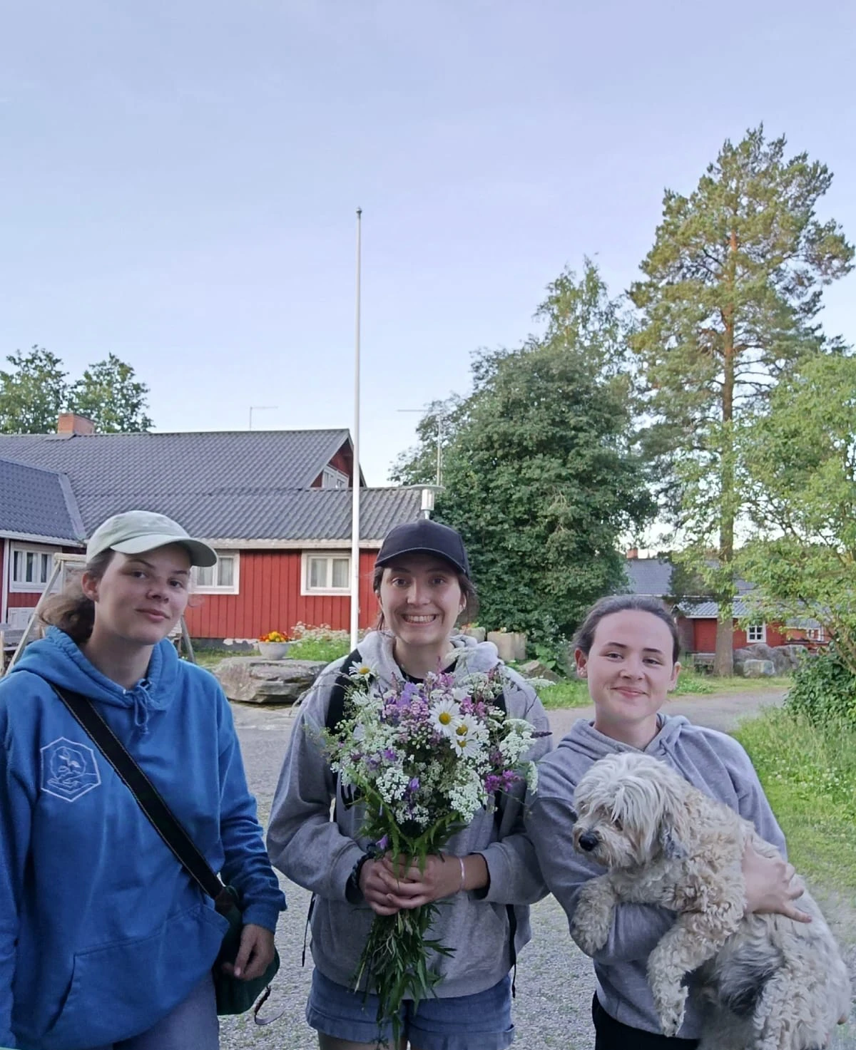 image-14