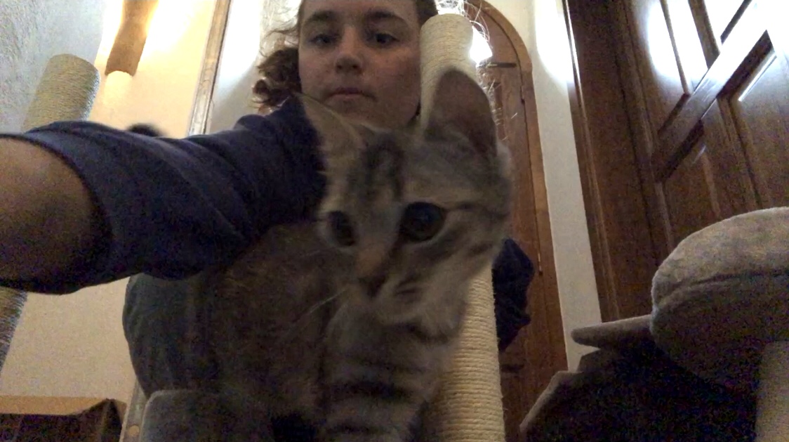 image-3