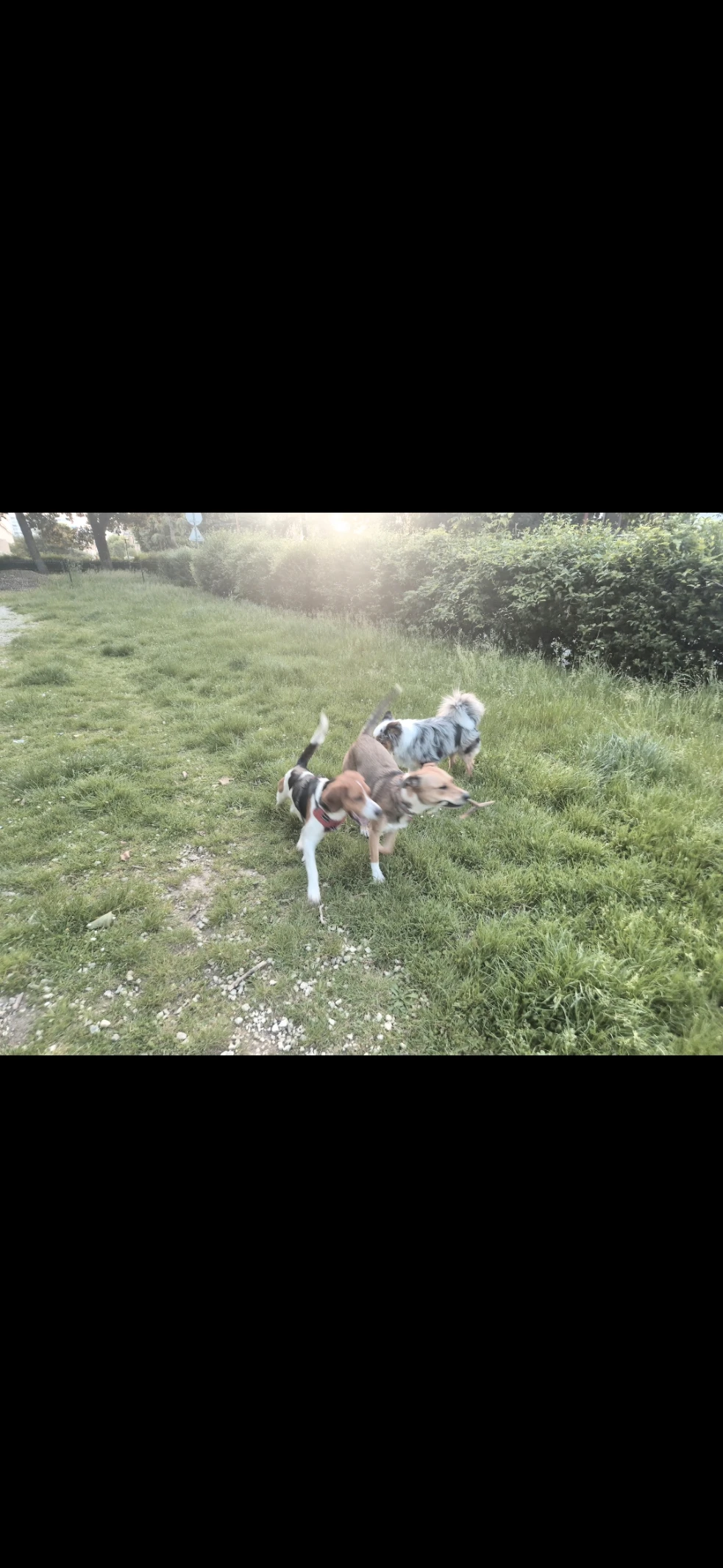 image-13