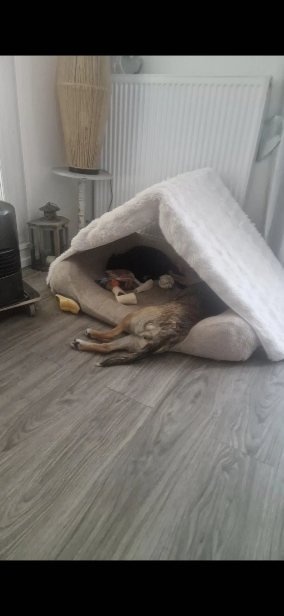image-29