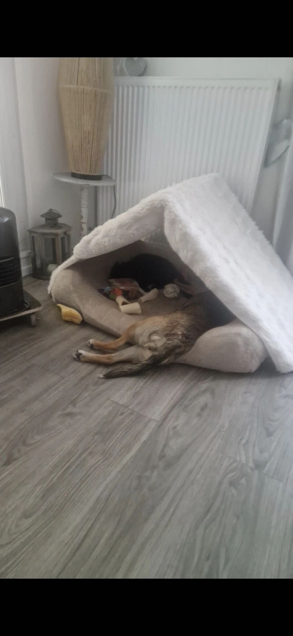 image-29