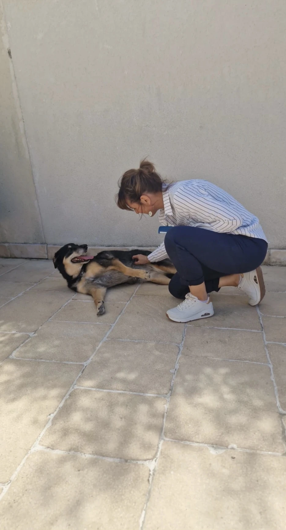 image-11