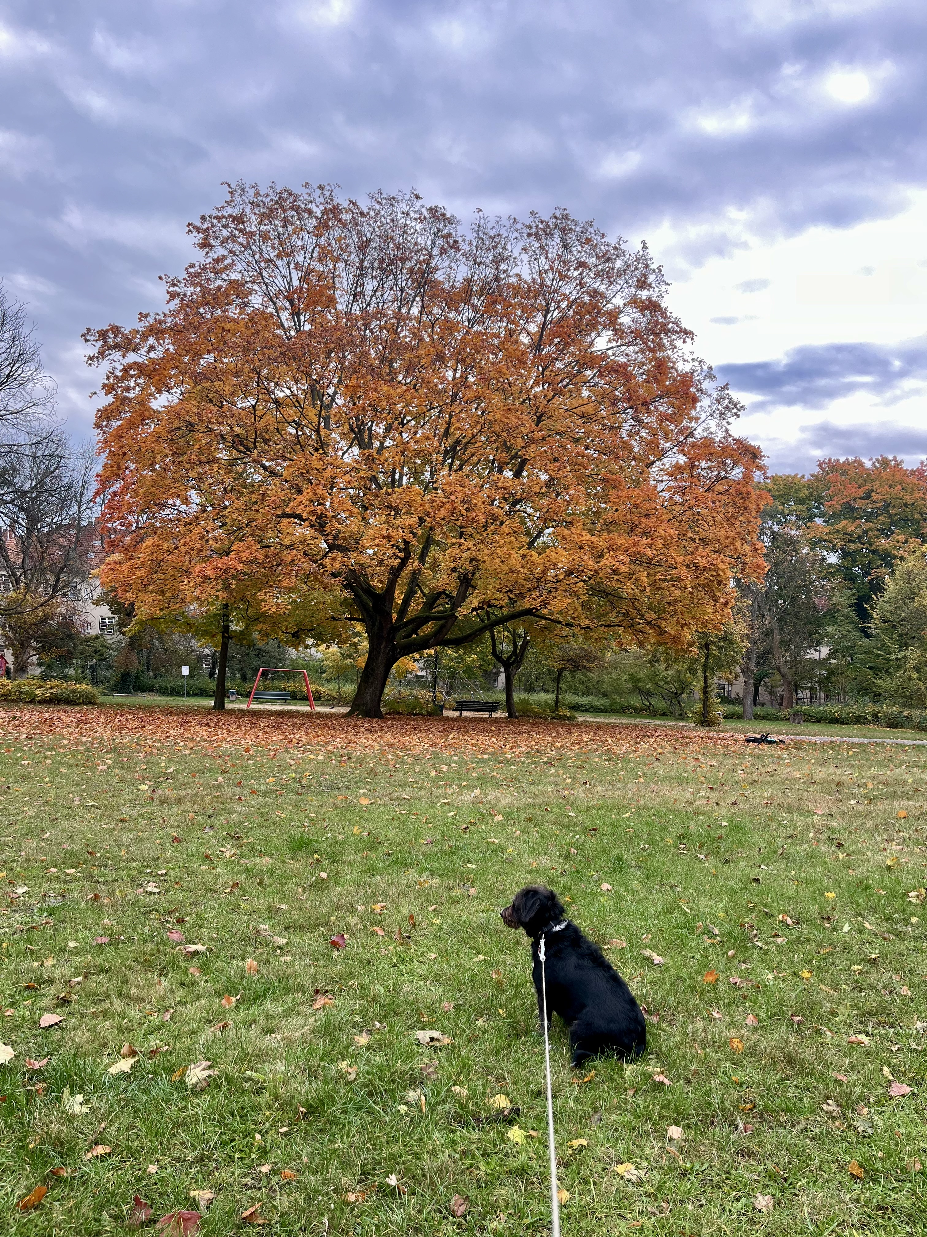 image-14
