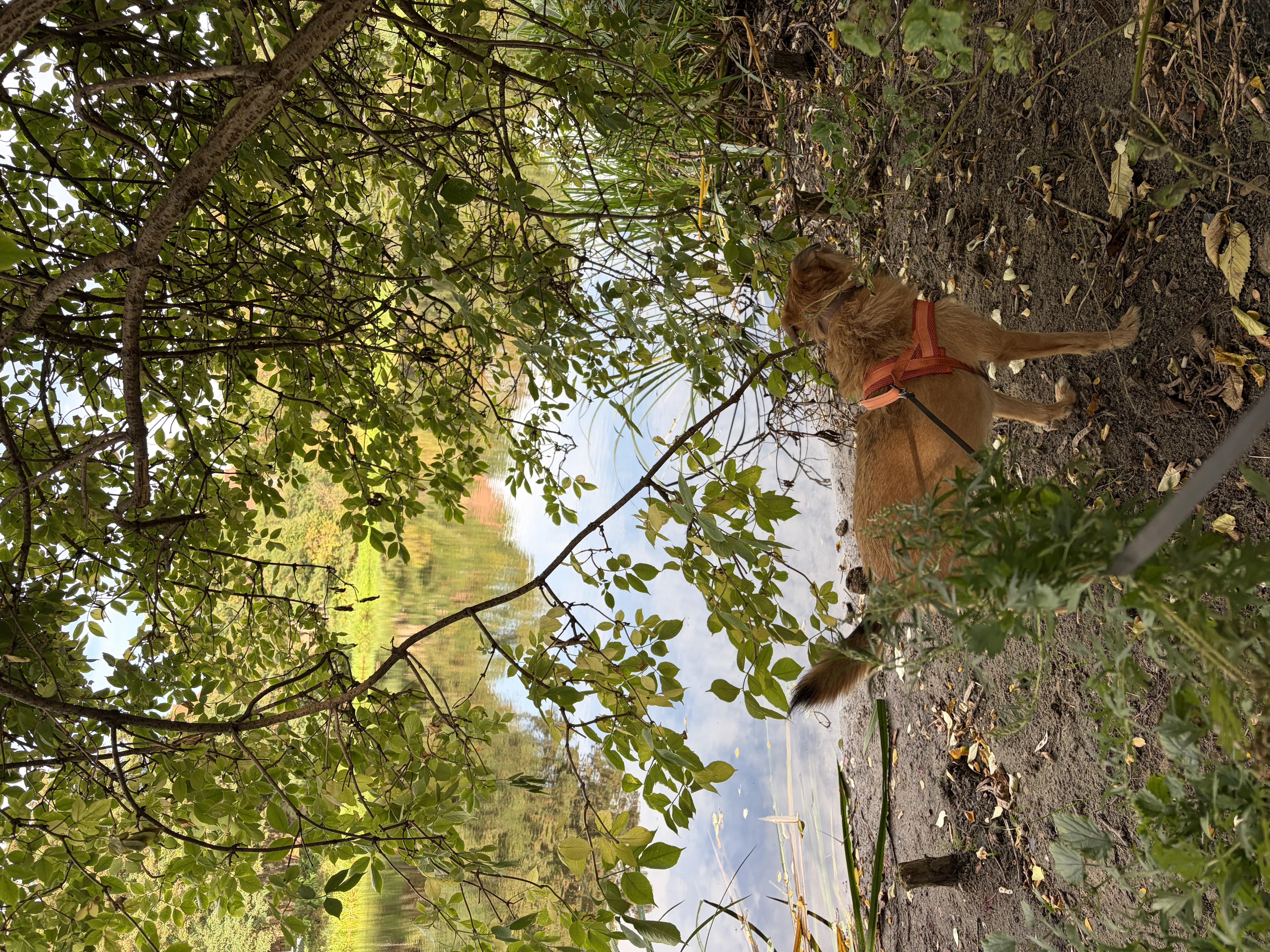 image-33