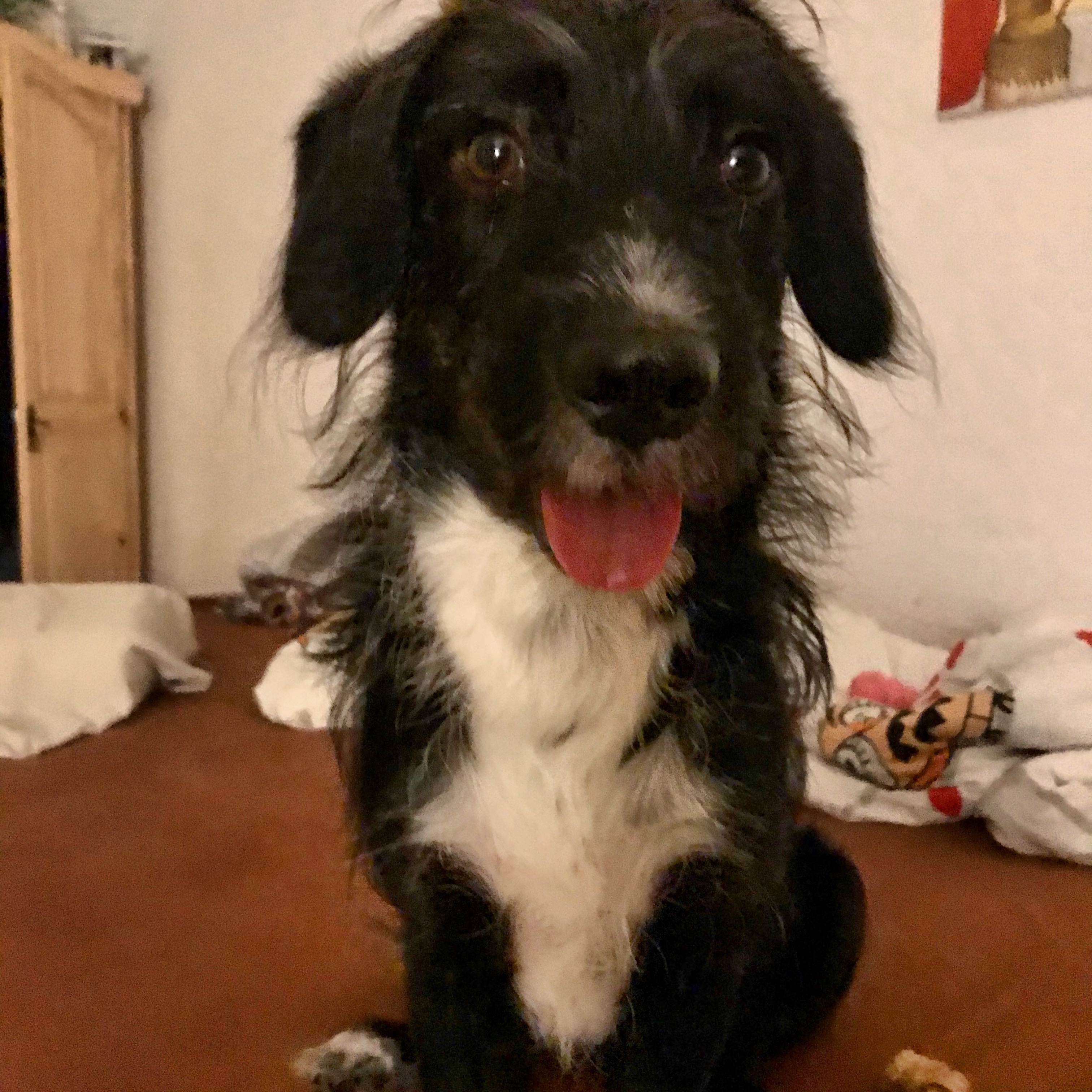 luka