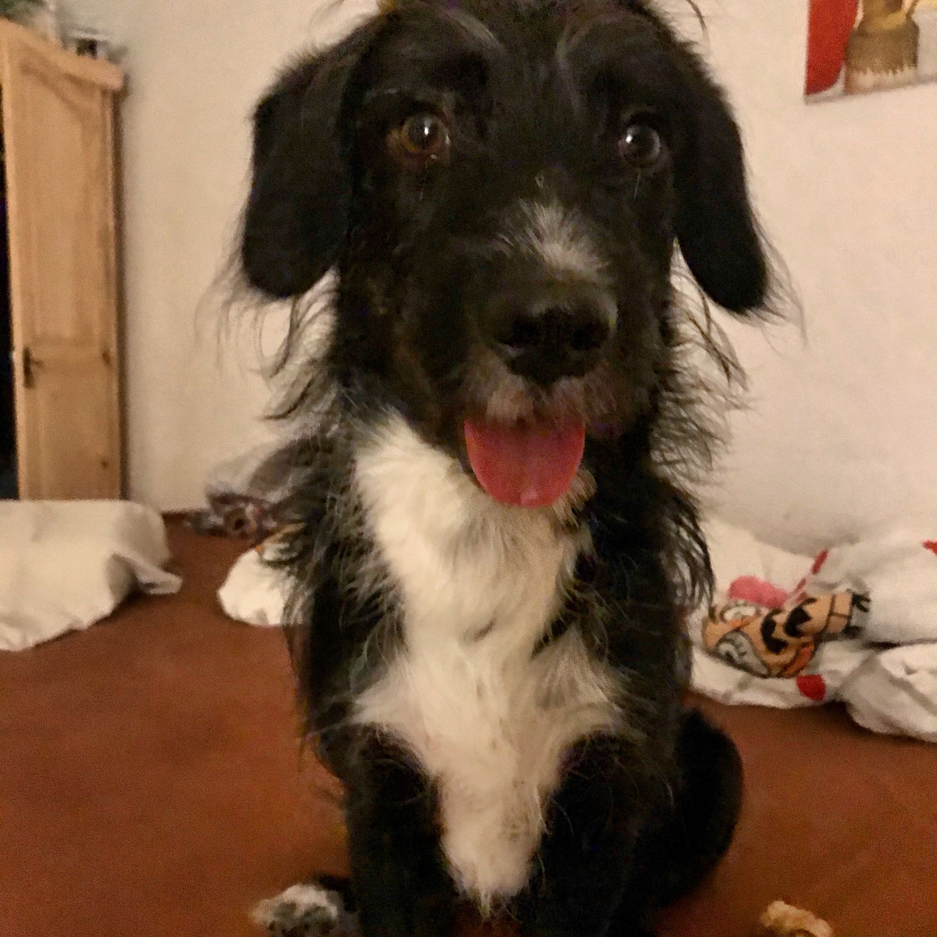luka