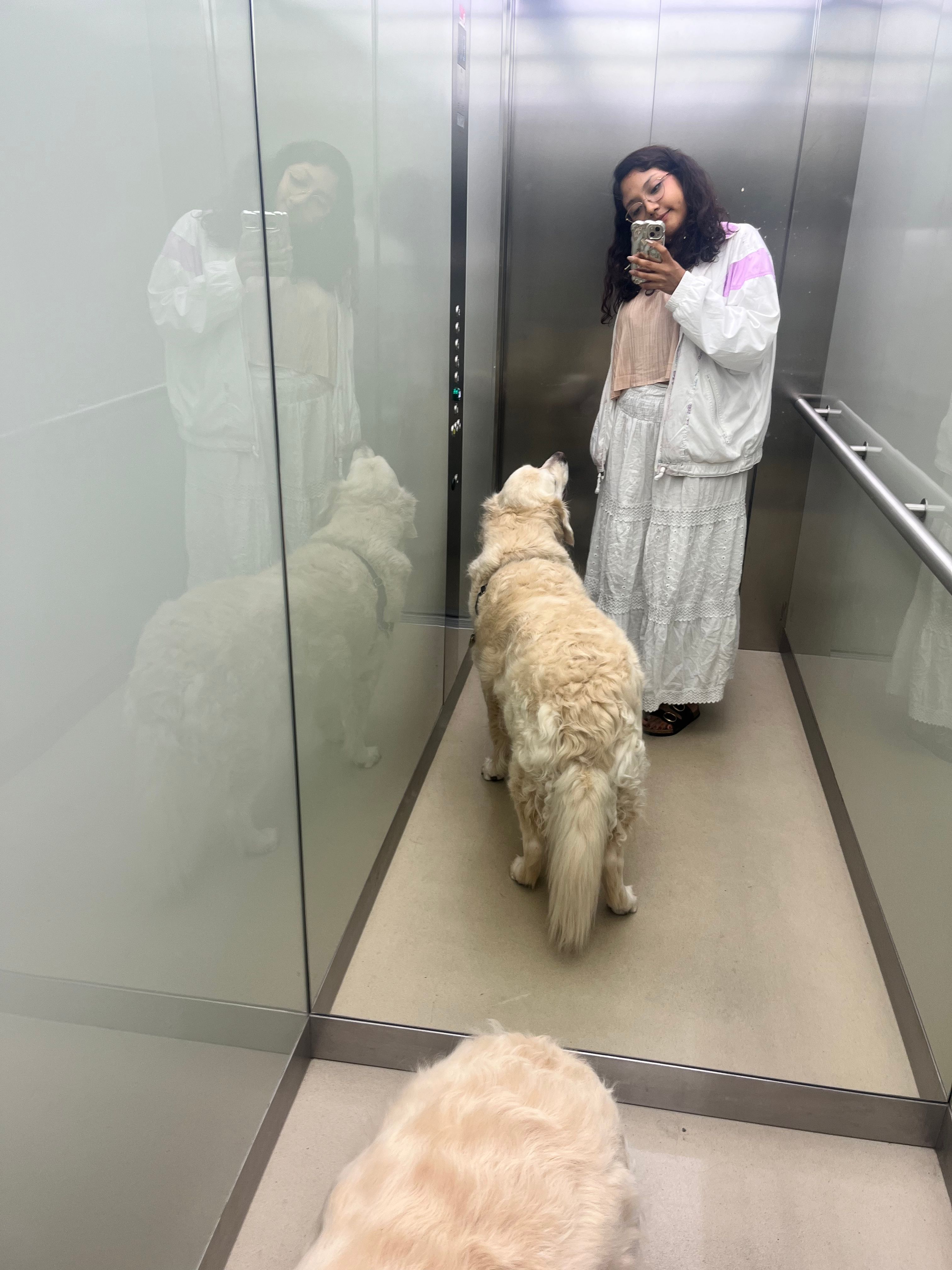 image-26