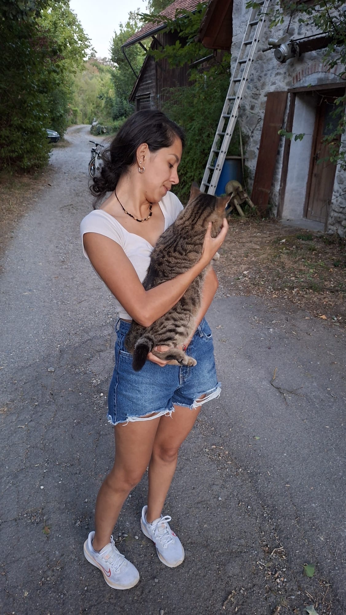 image-7