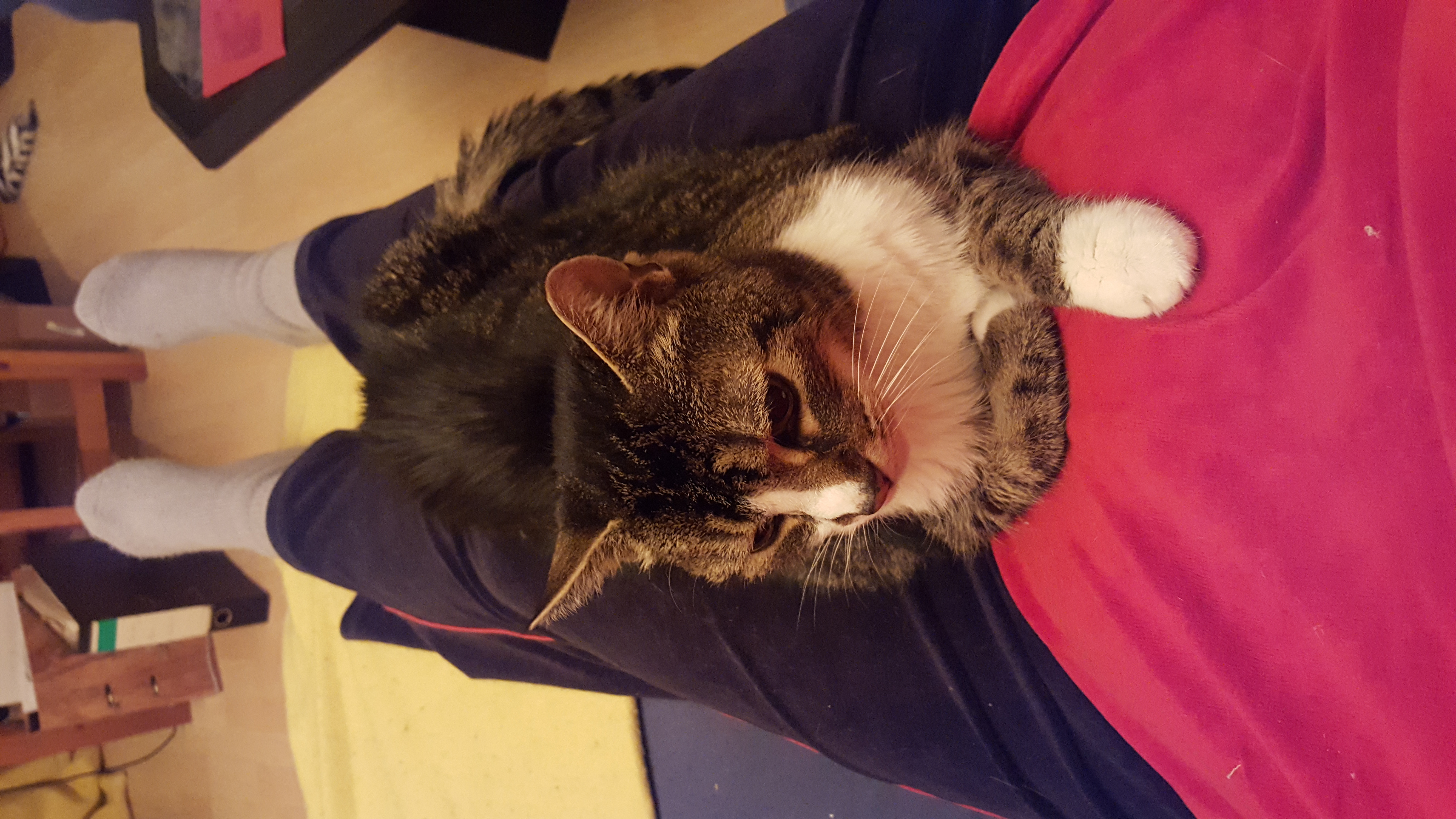 image-8
