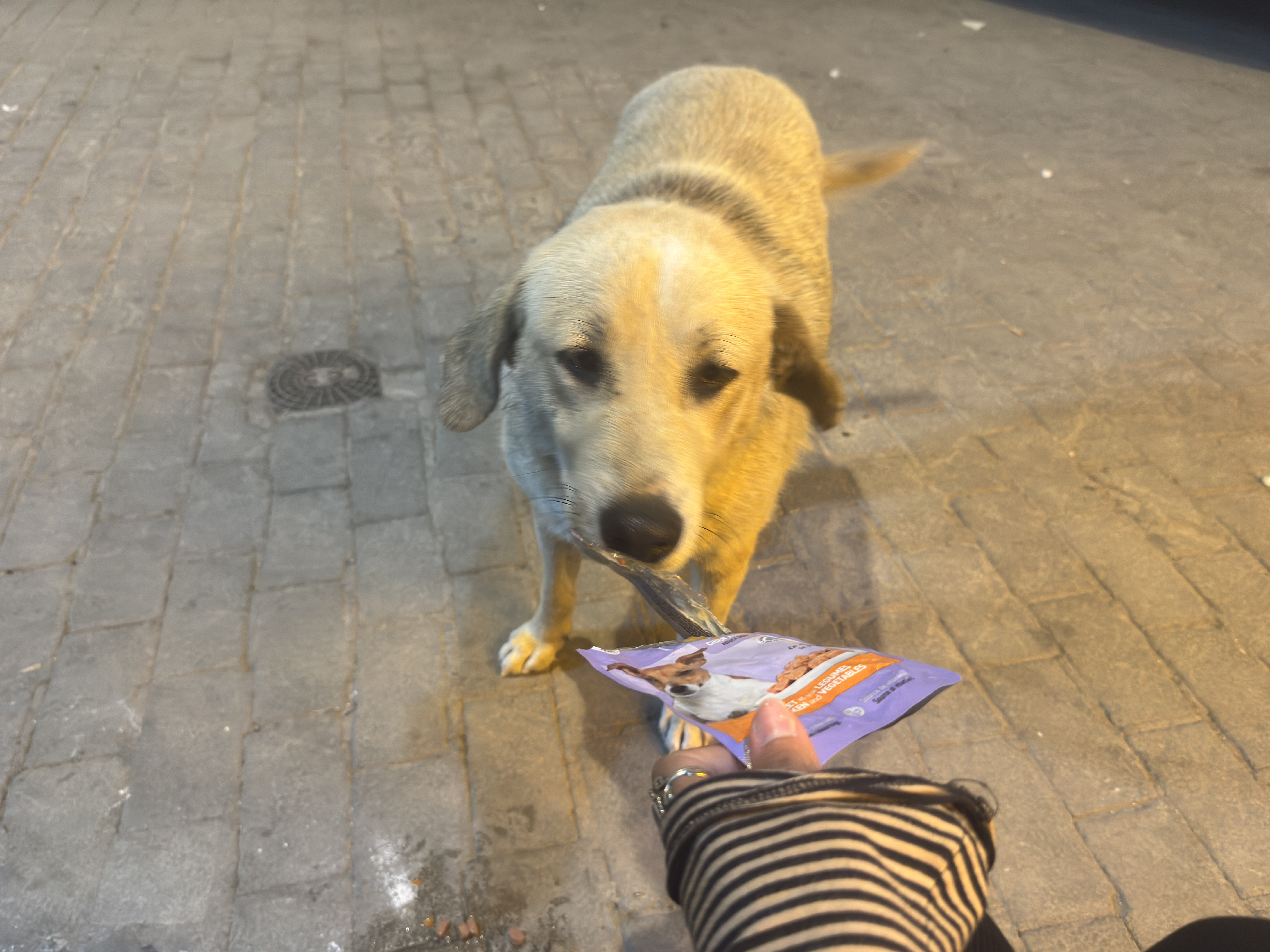 image-42