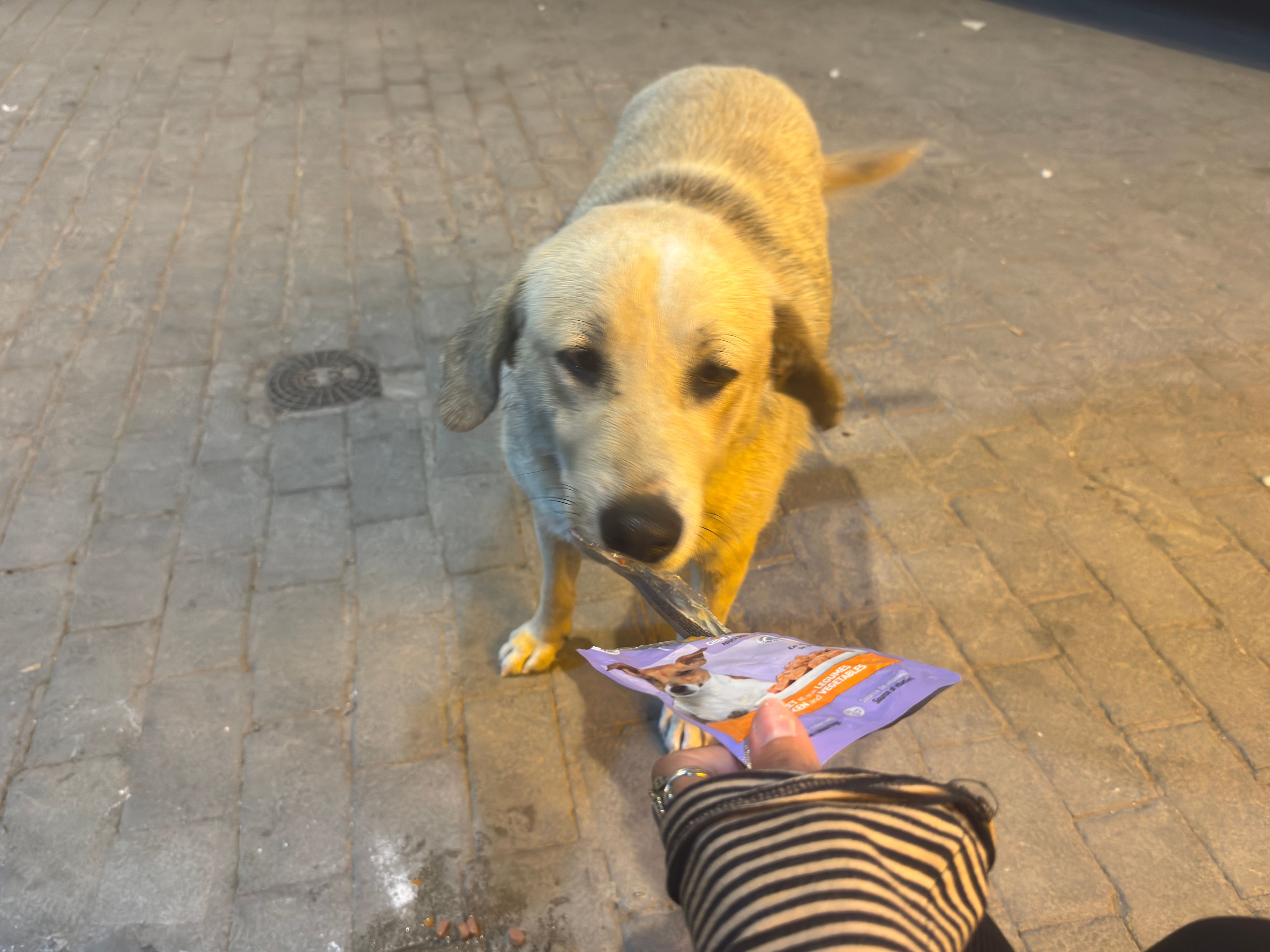 image-42