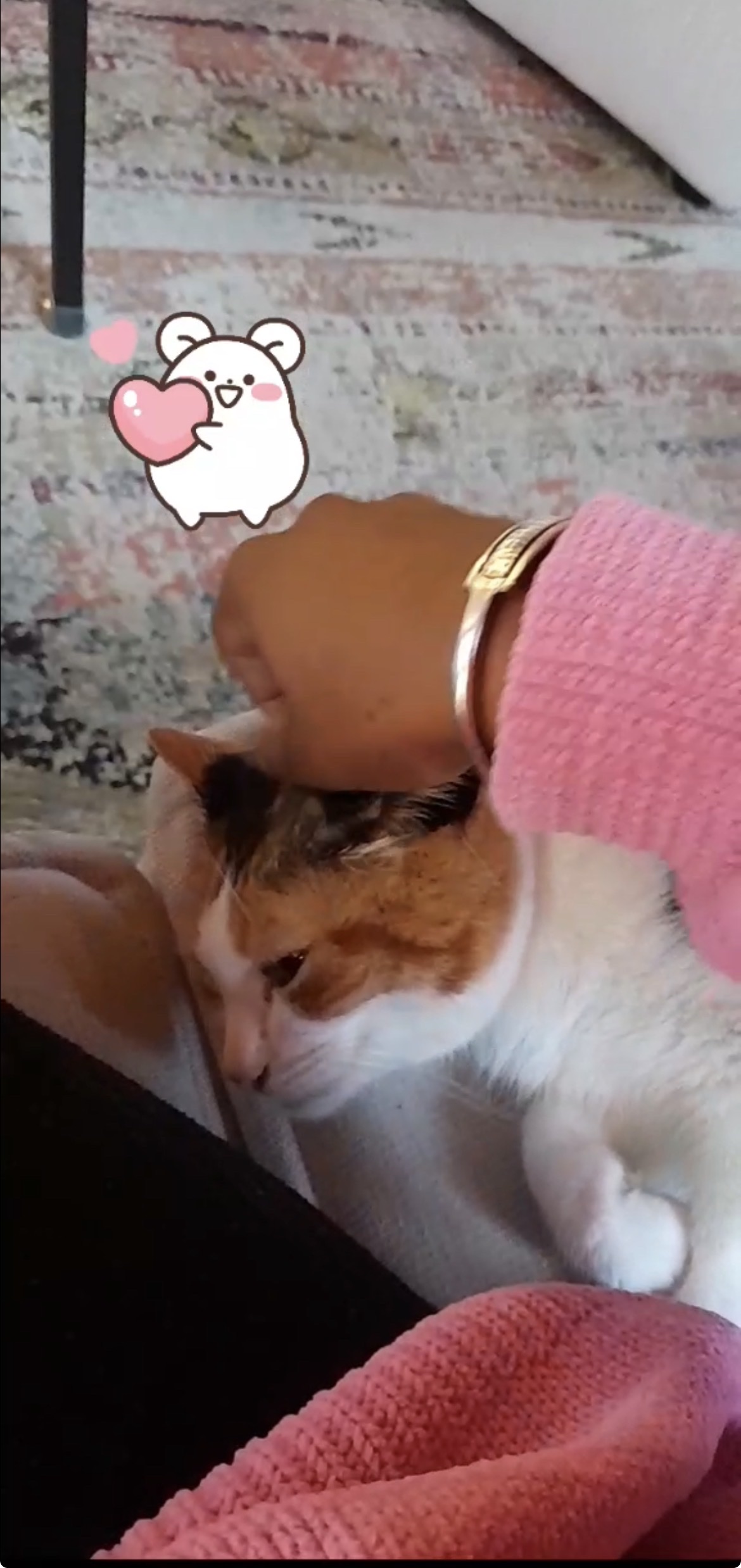image-10