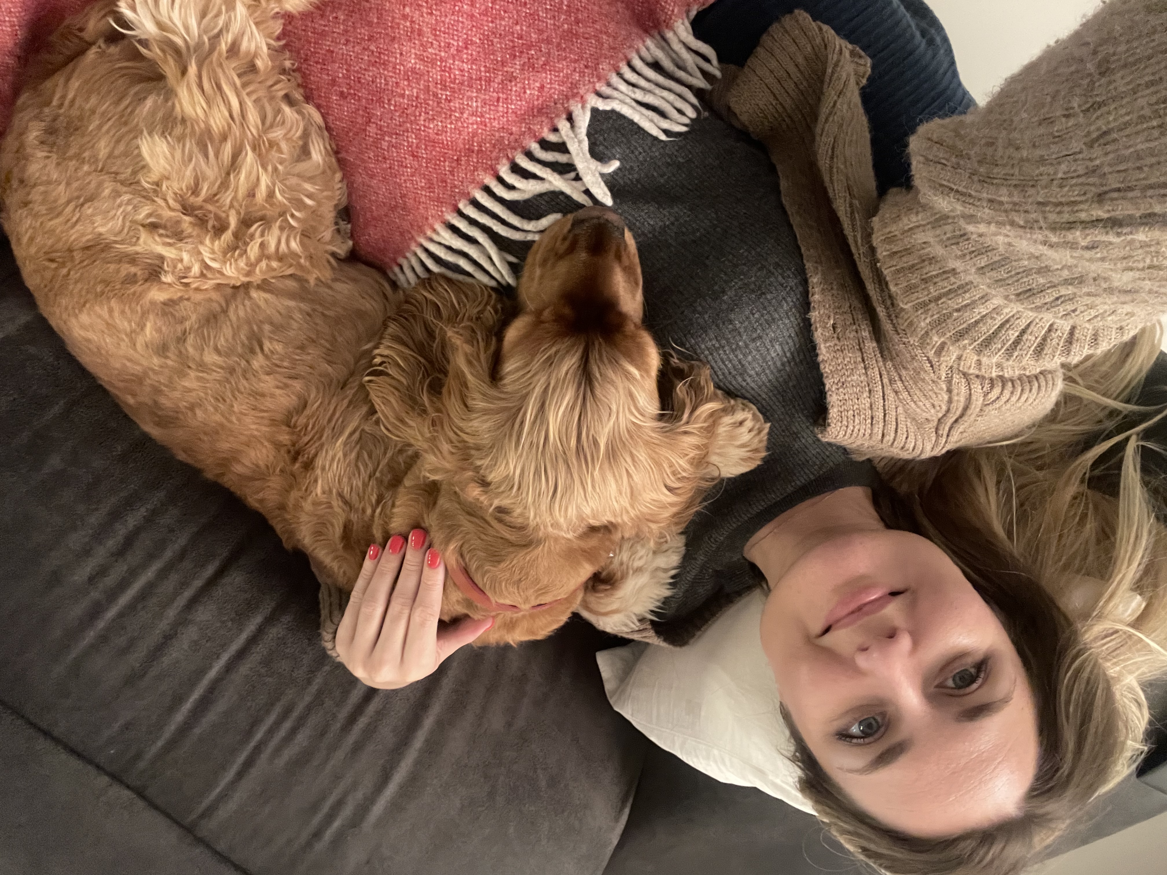 image-4