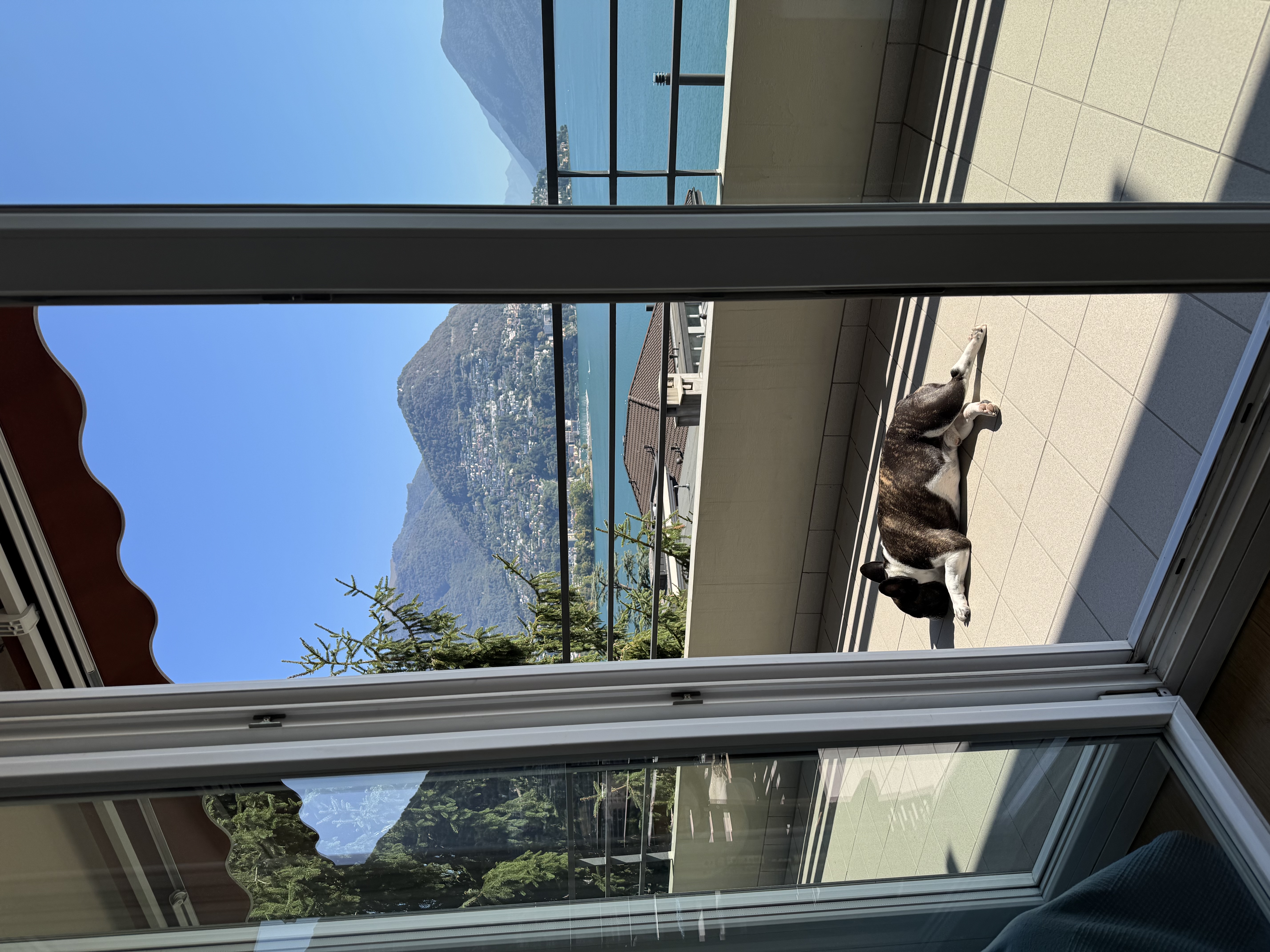 image-17