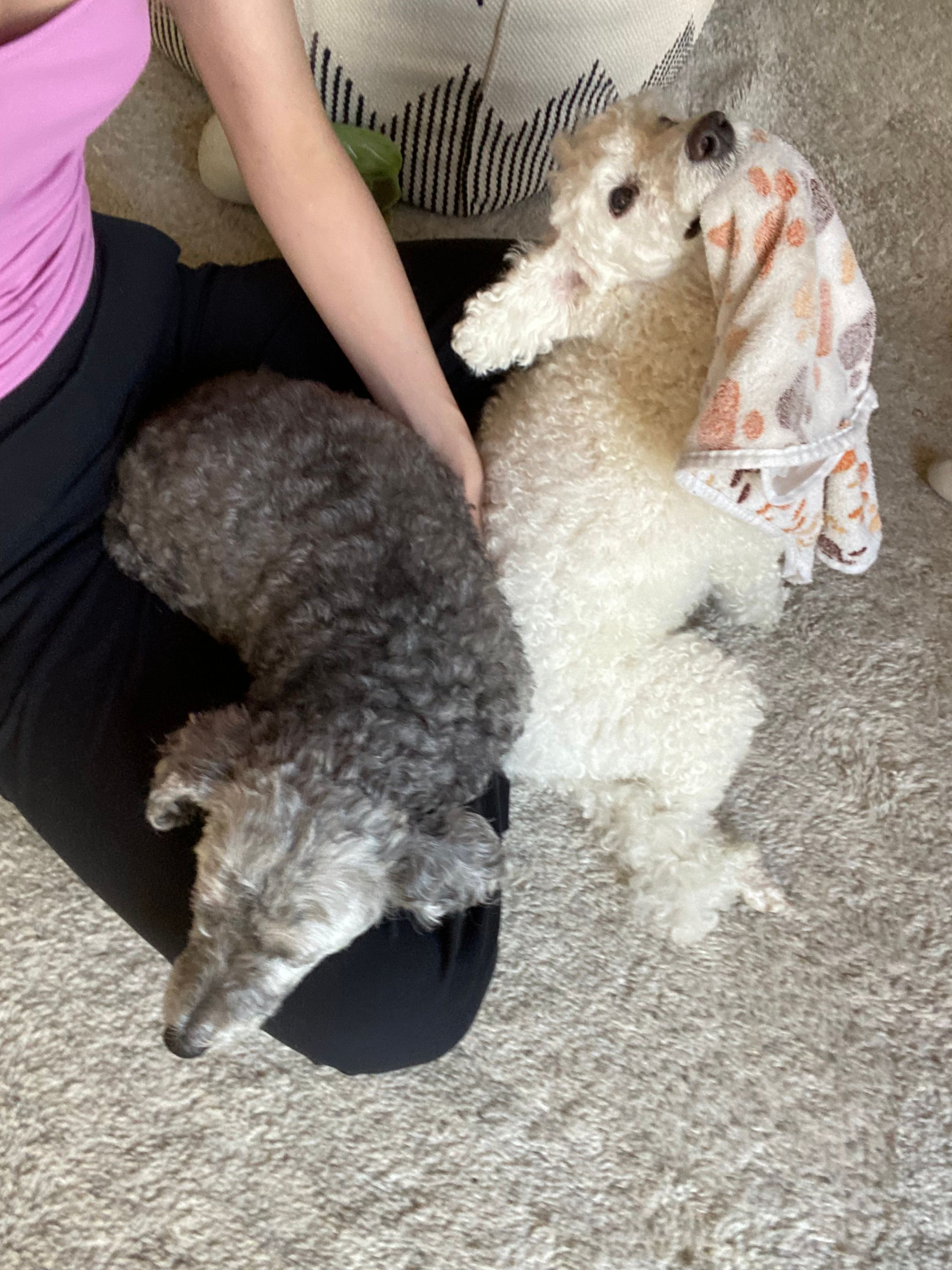 image-10