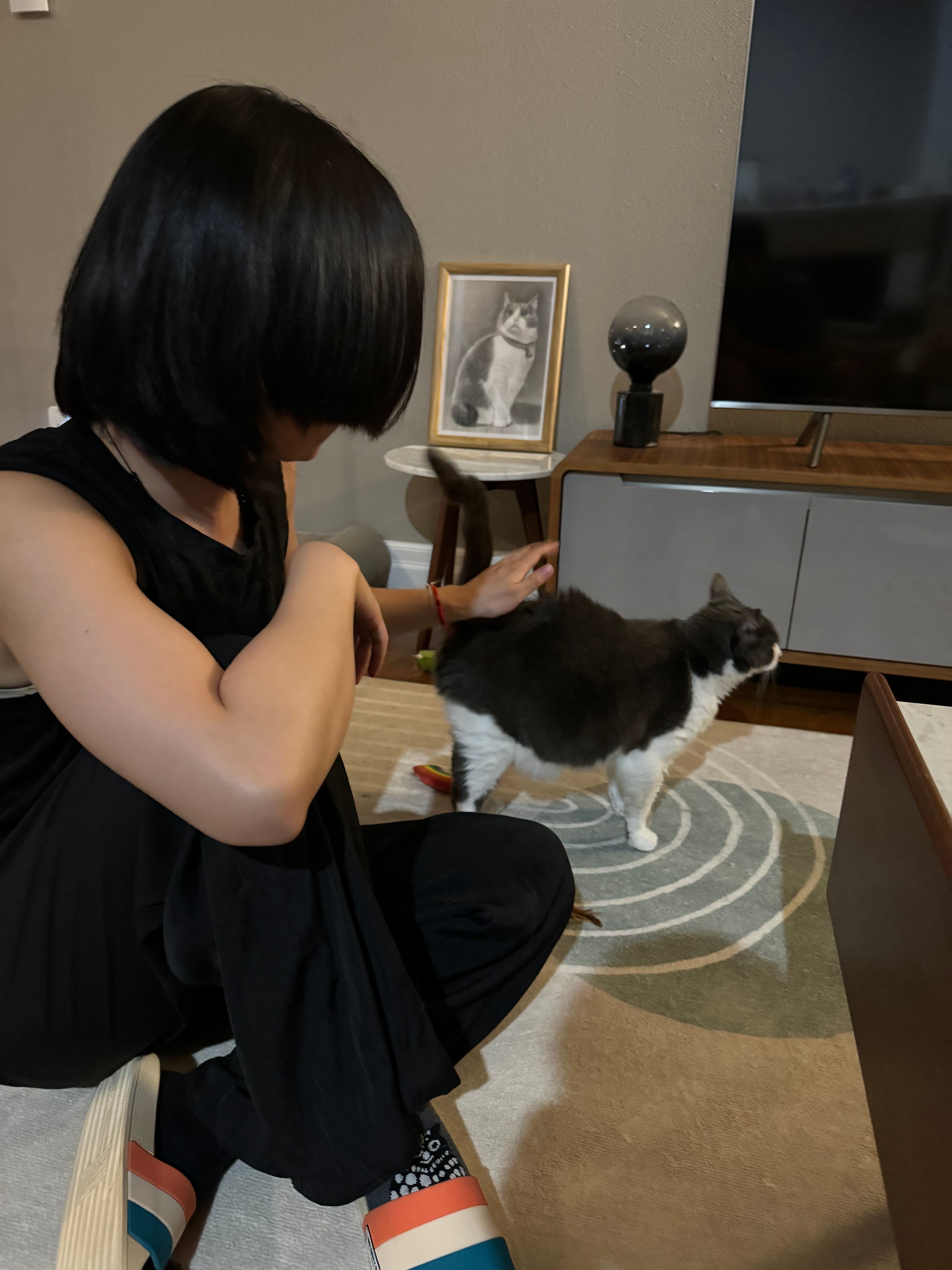 image-5