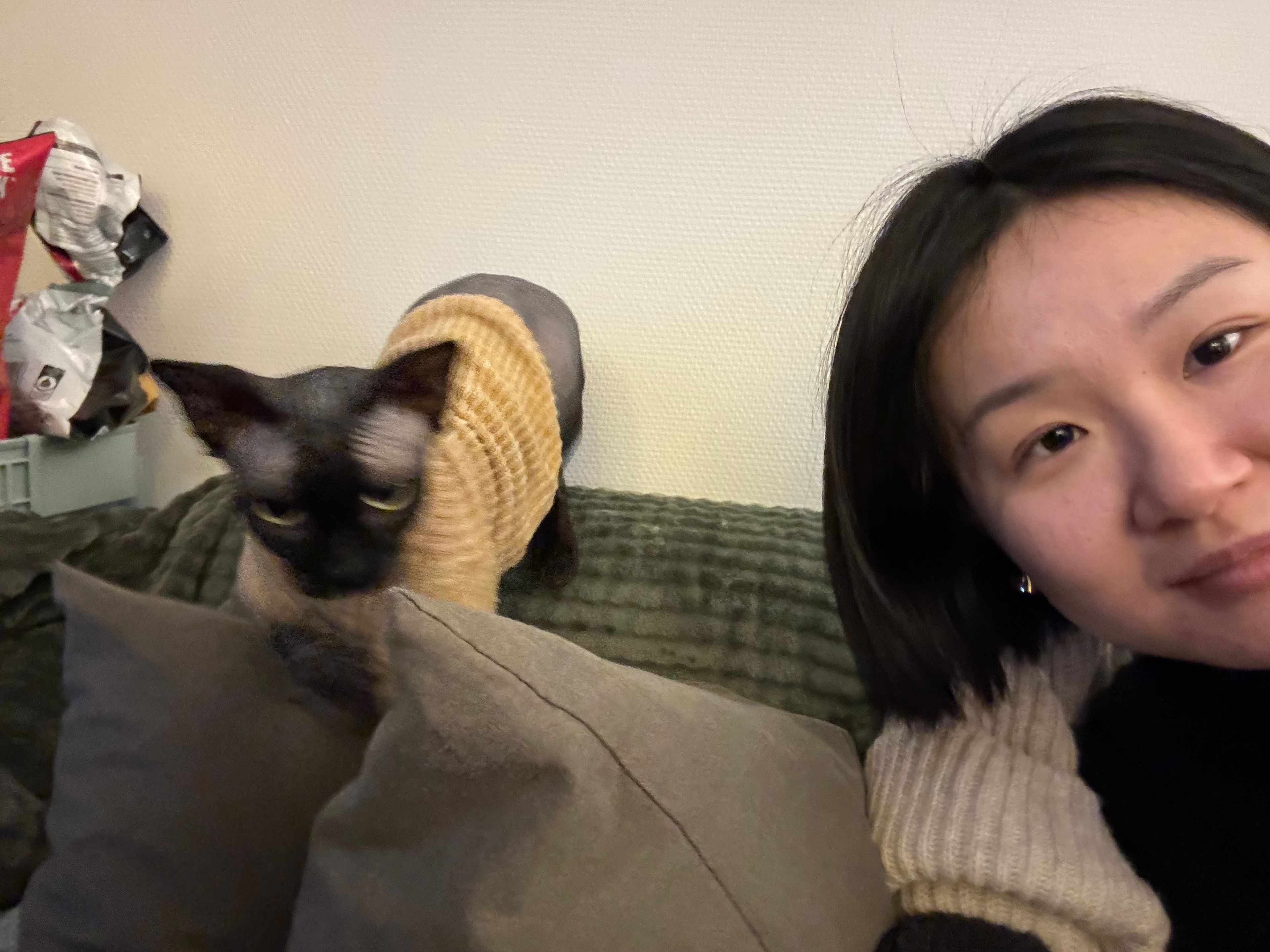 image-6