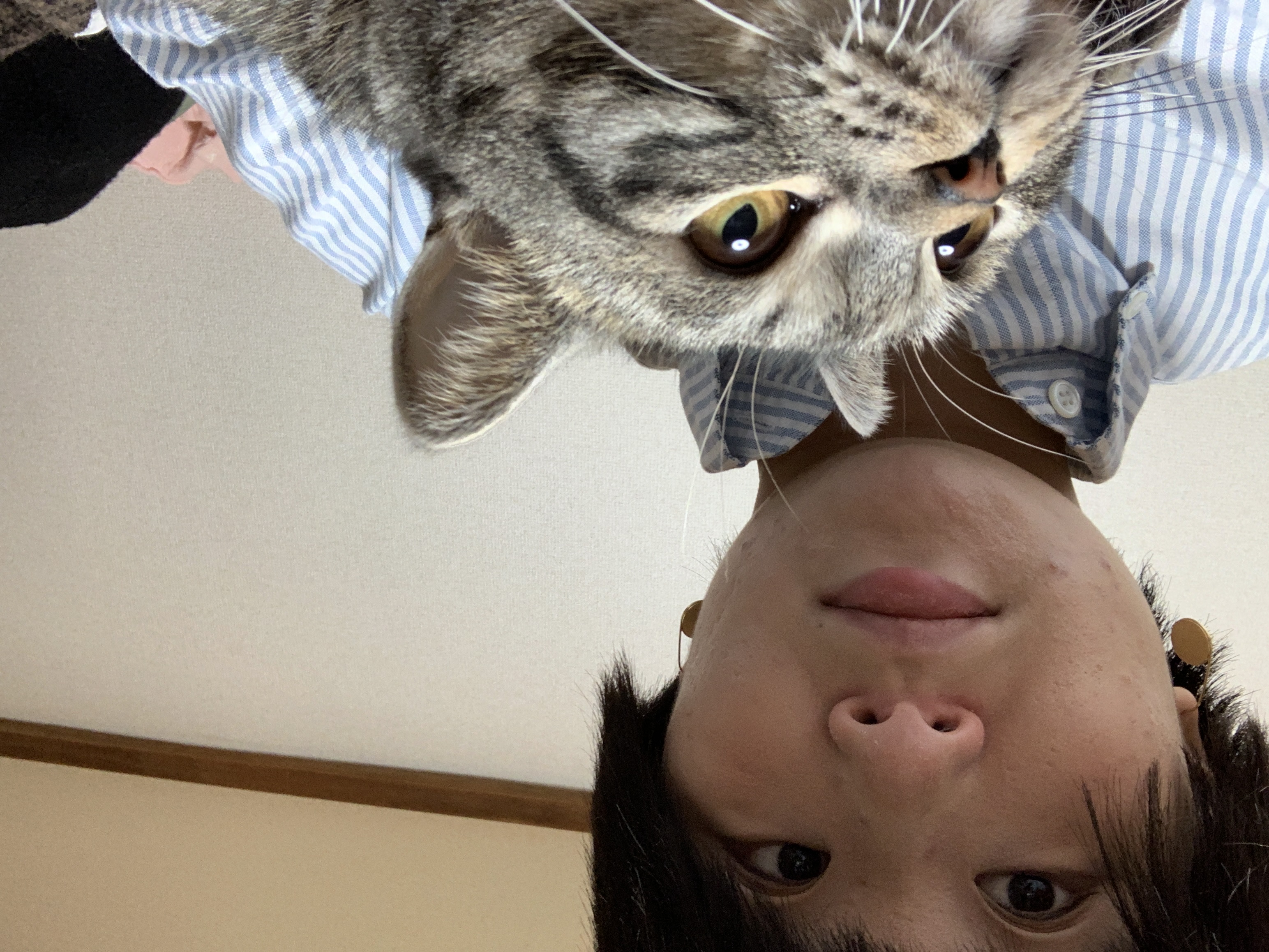 image-4