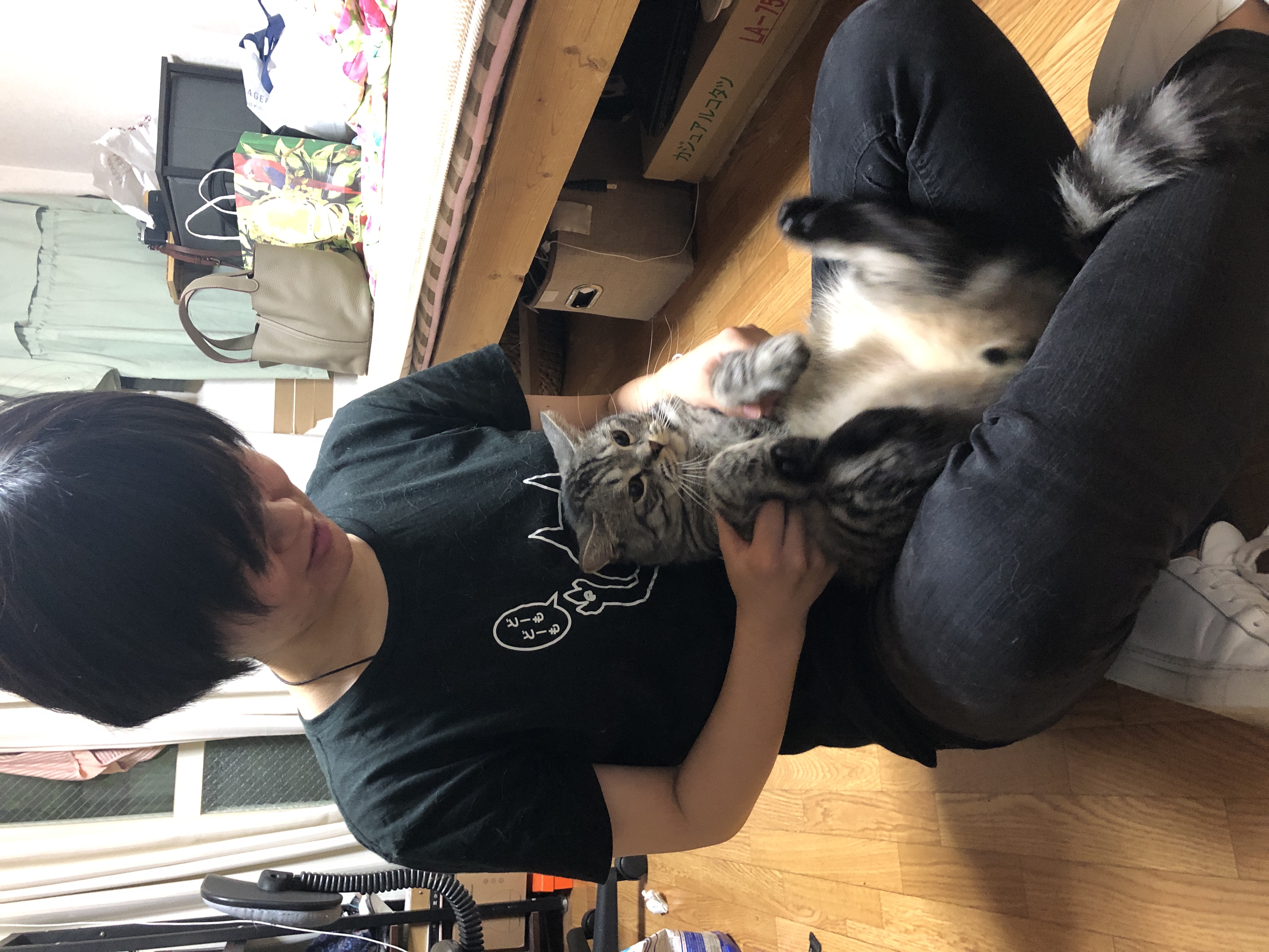 image-11