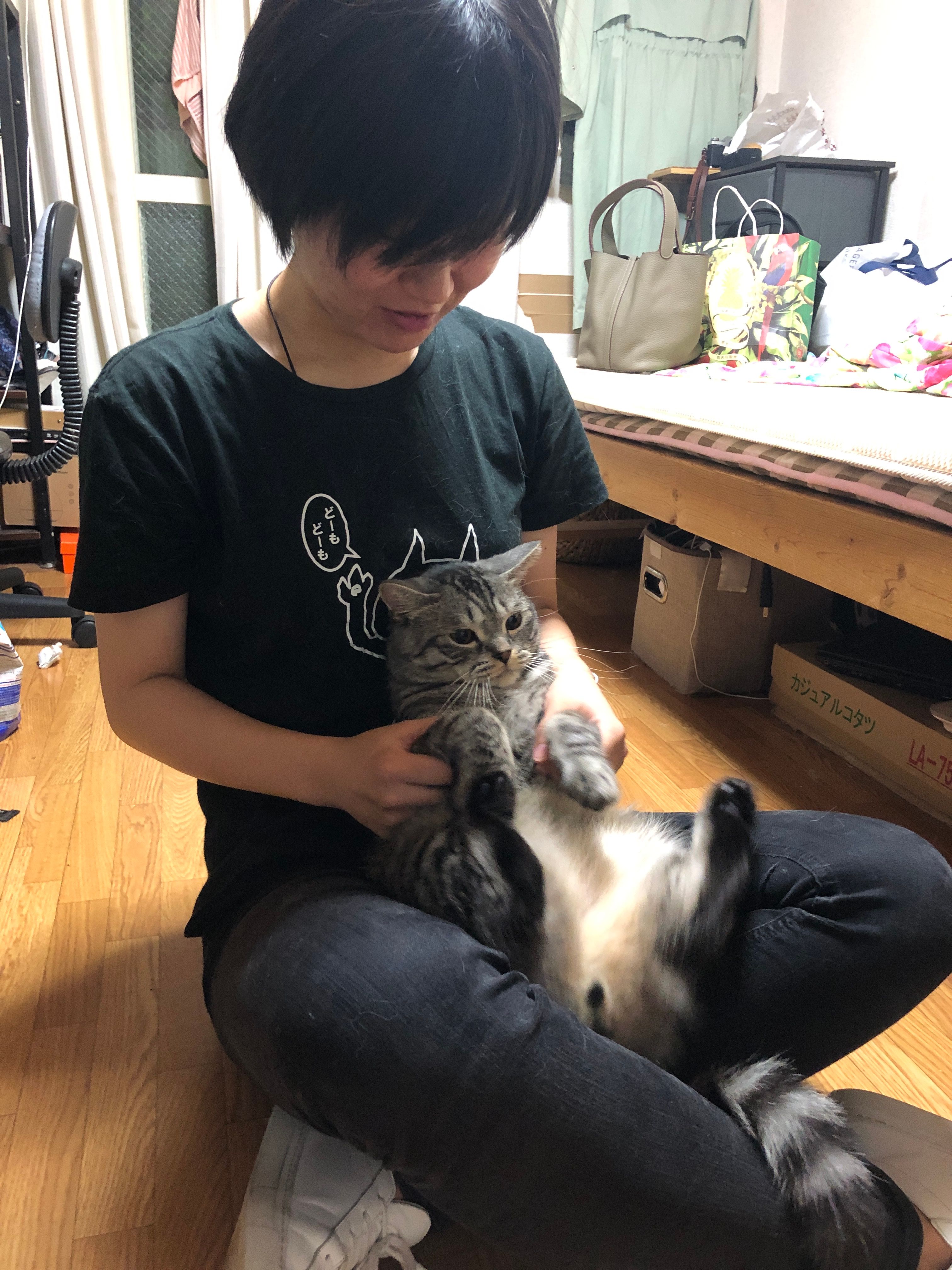 image-11