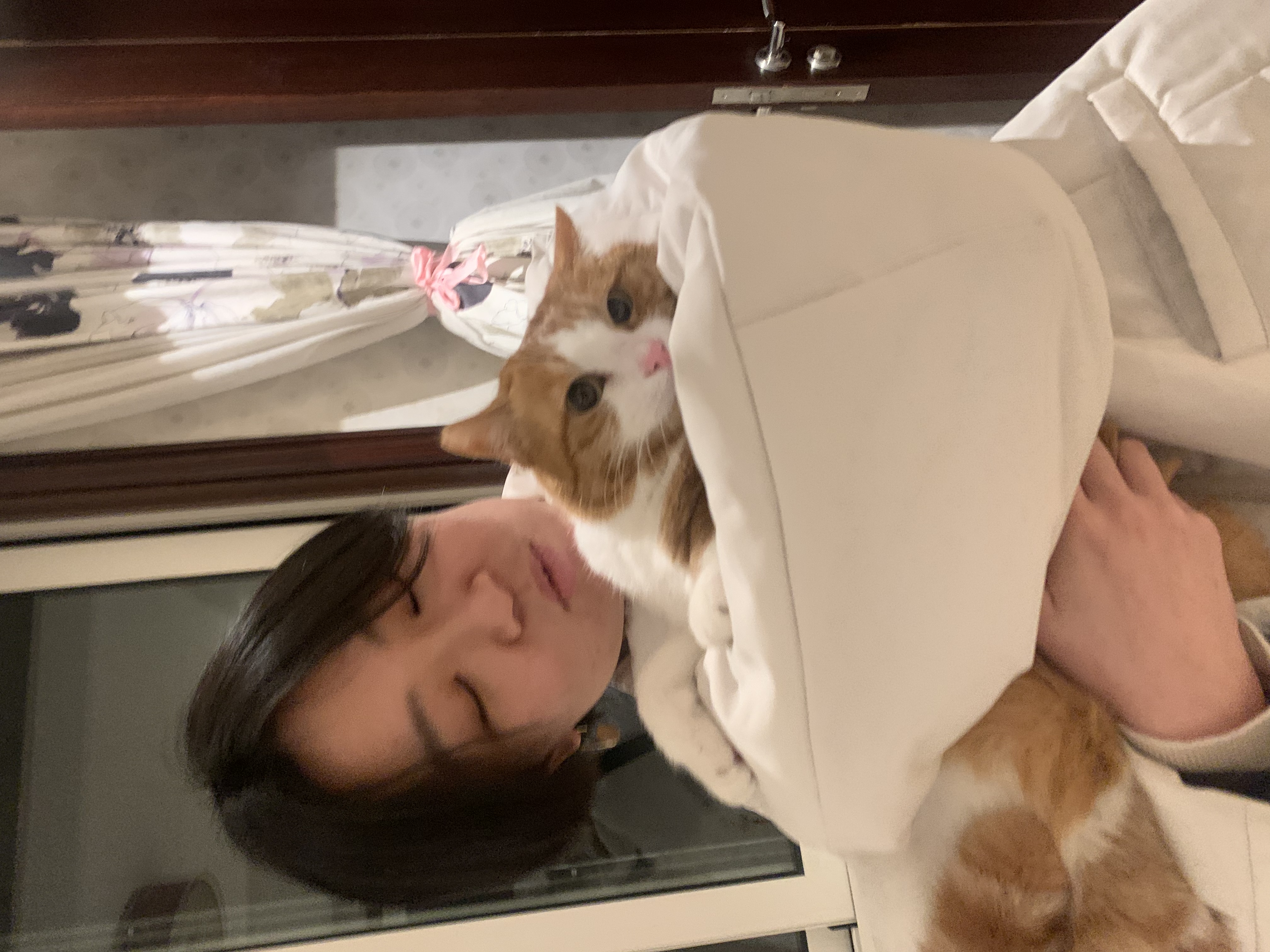 image-9