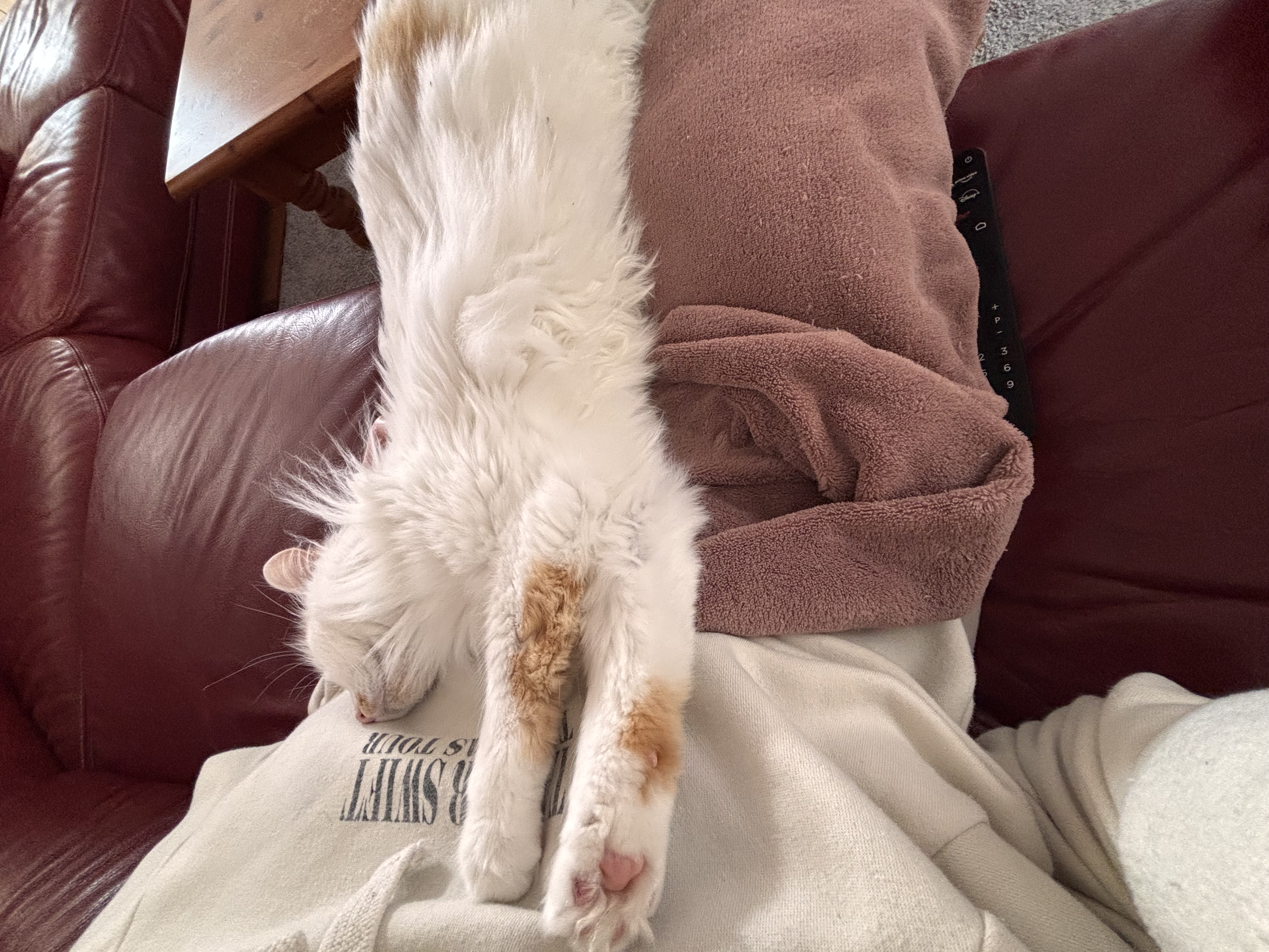 image-6