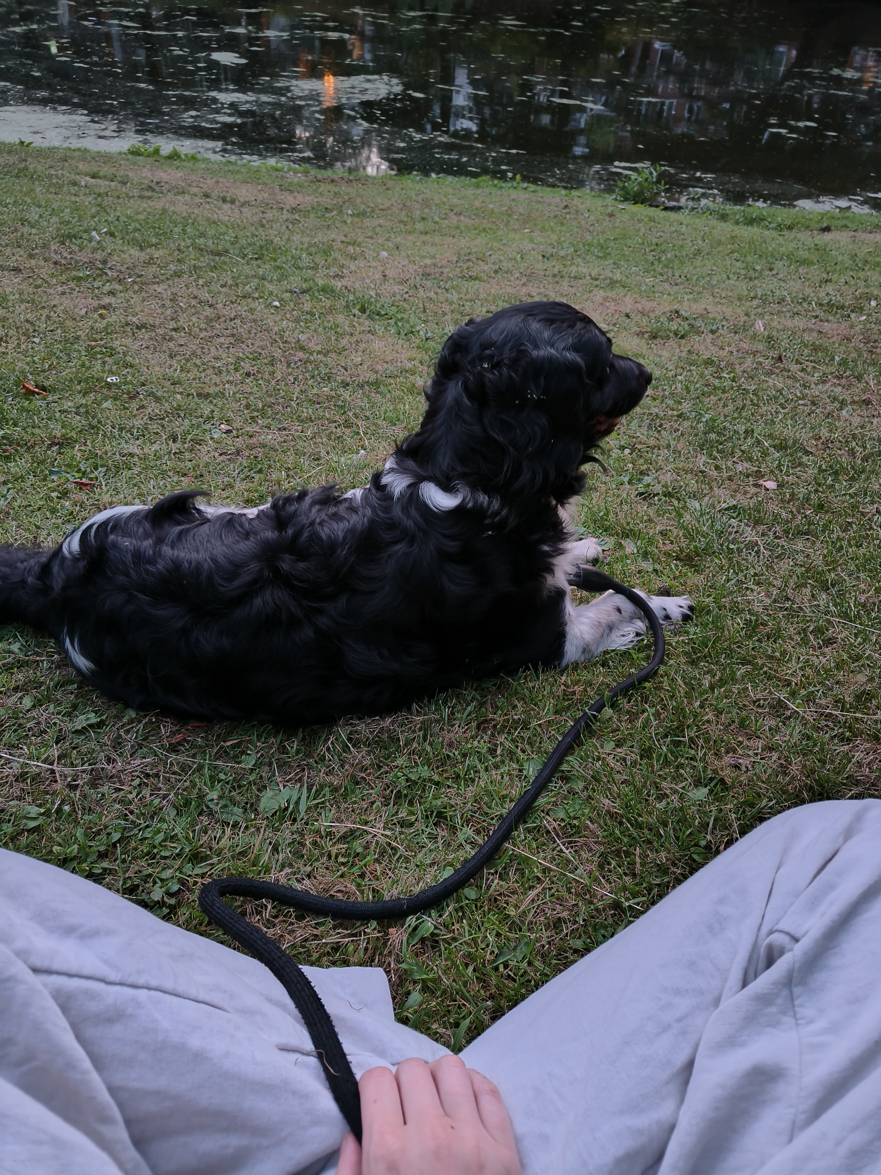 image-5