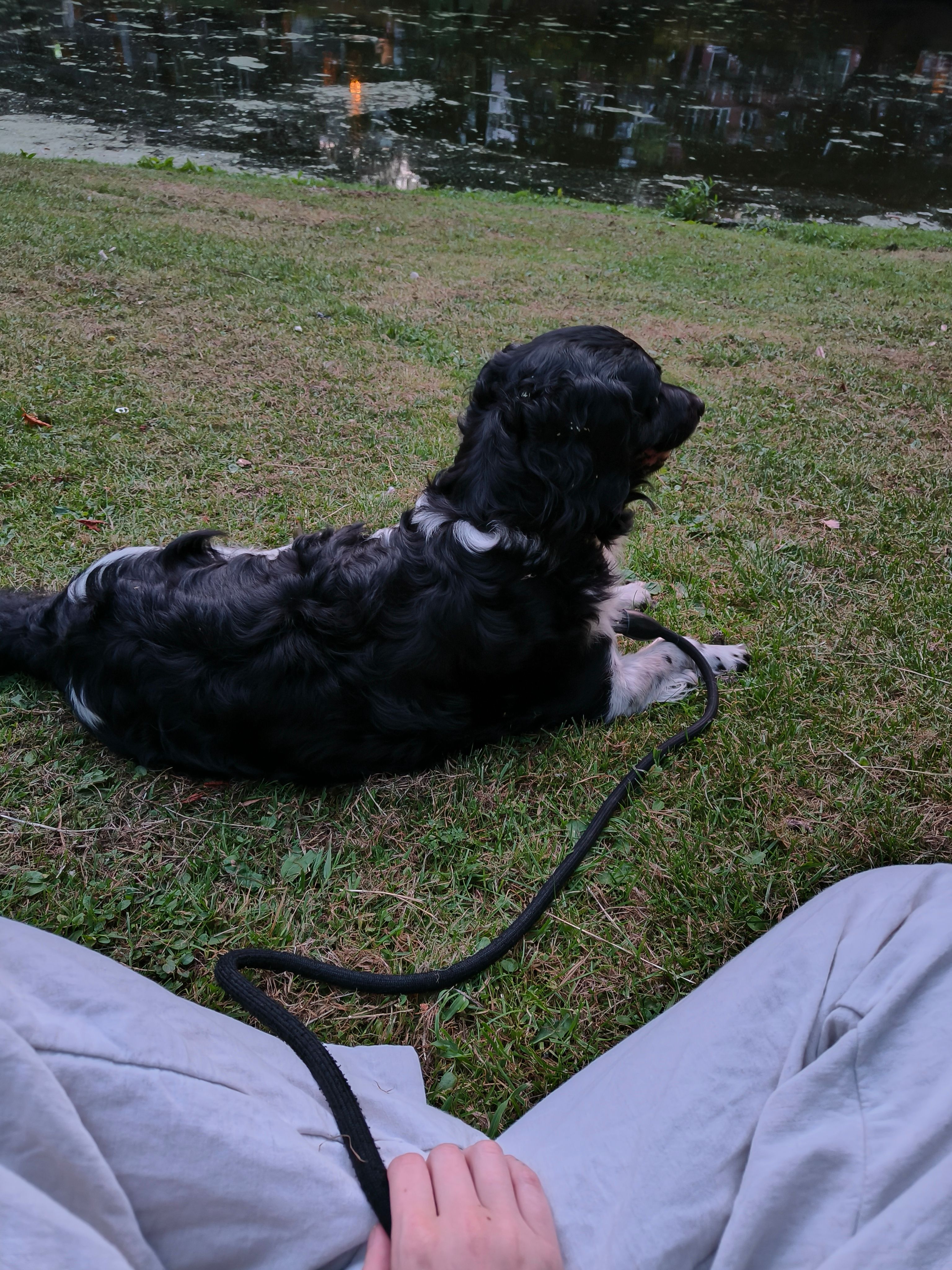 image-5