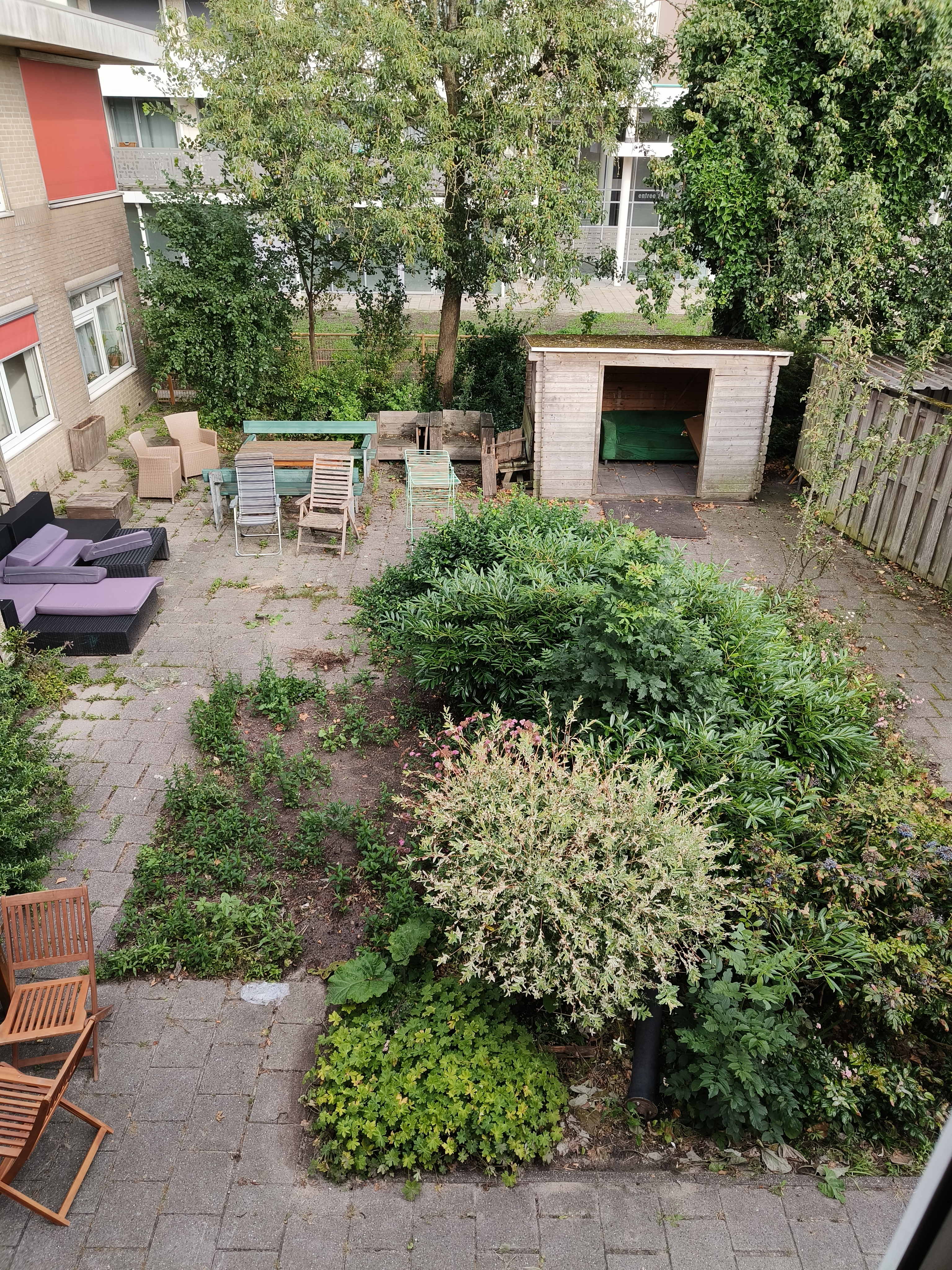 image-11