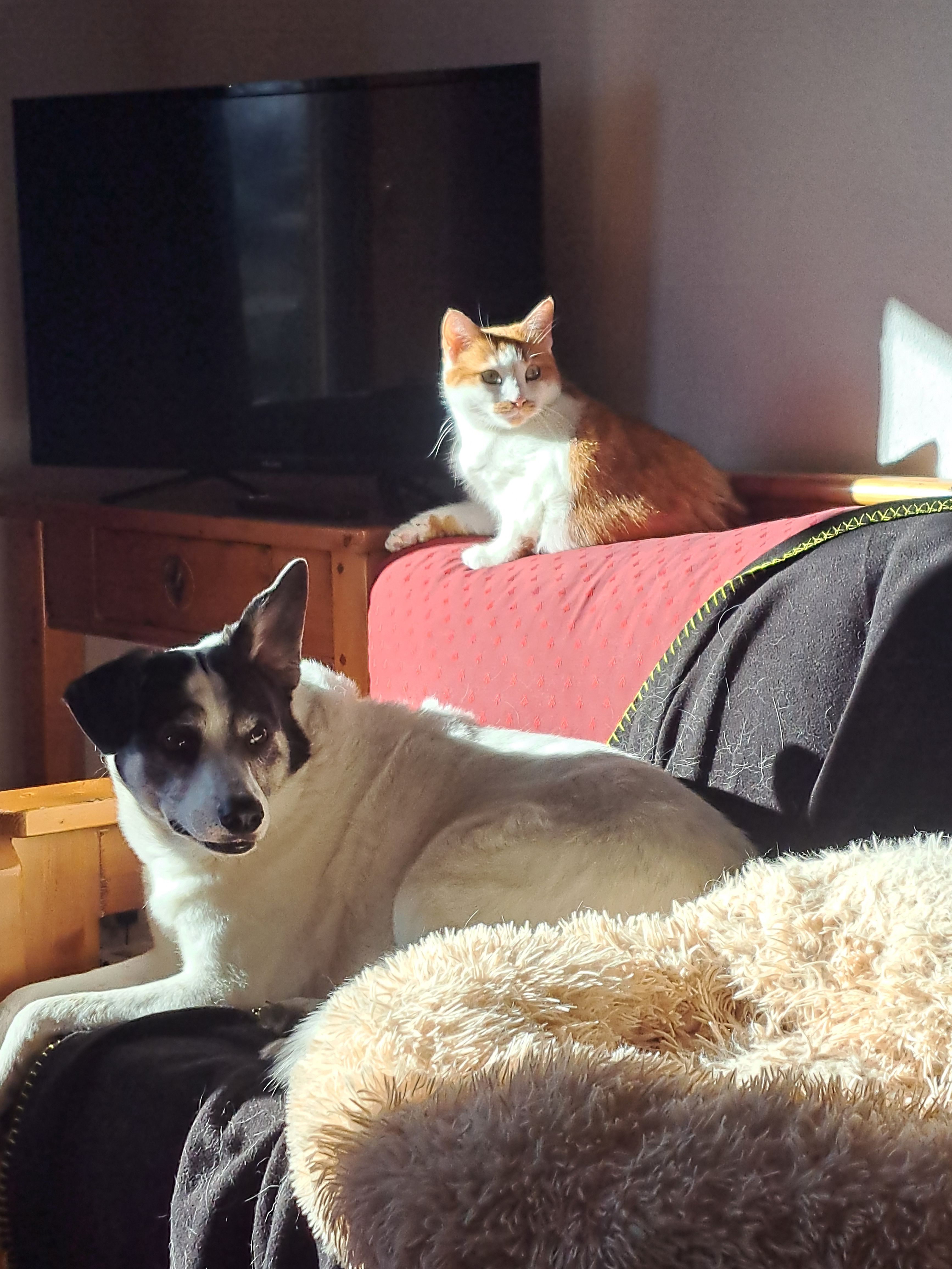 image-7