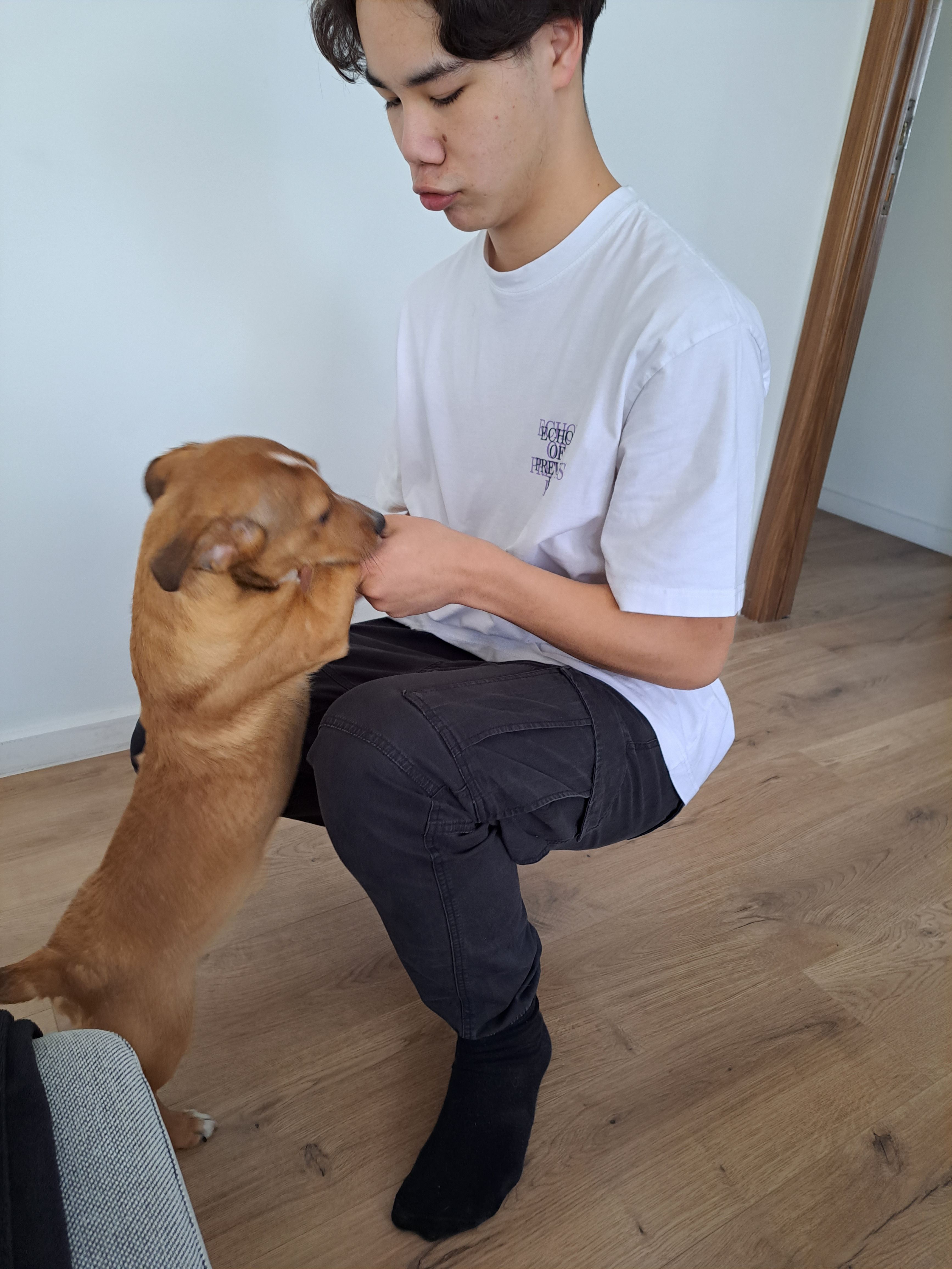 image-6