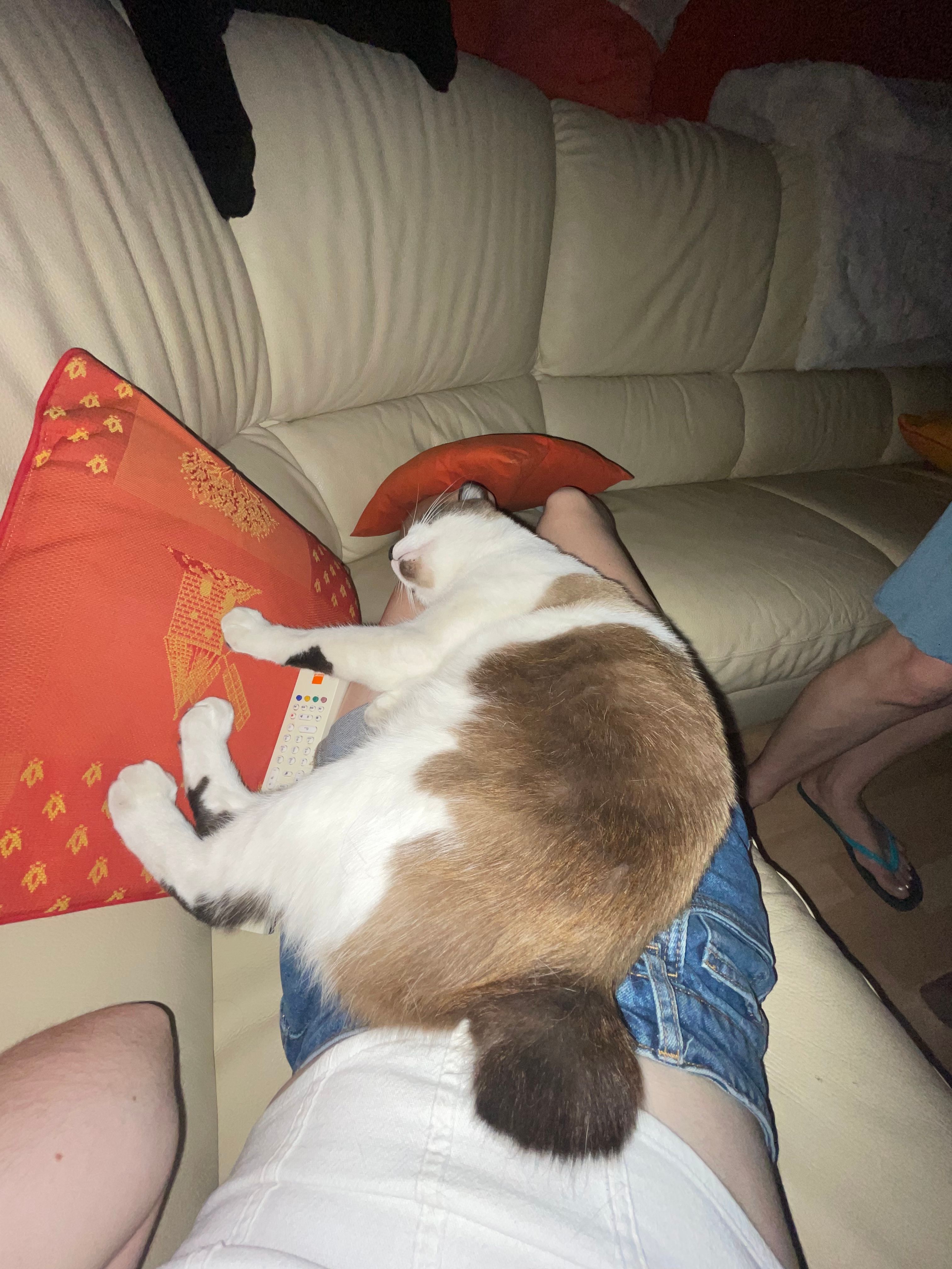 image-15