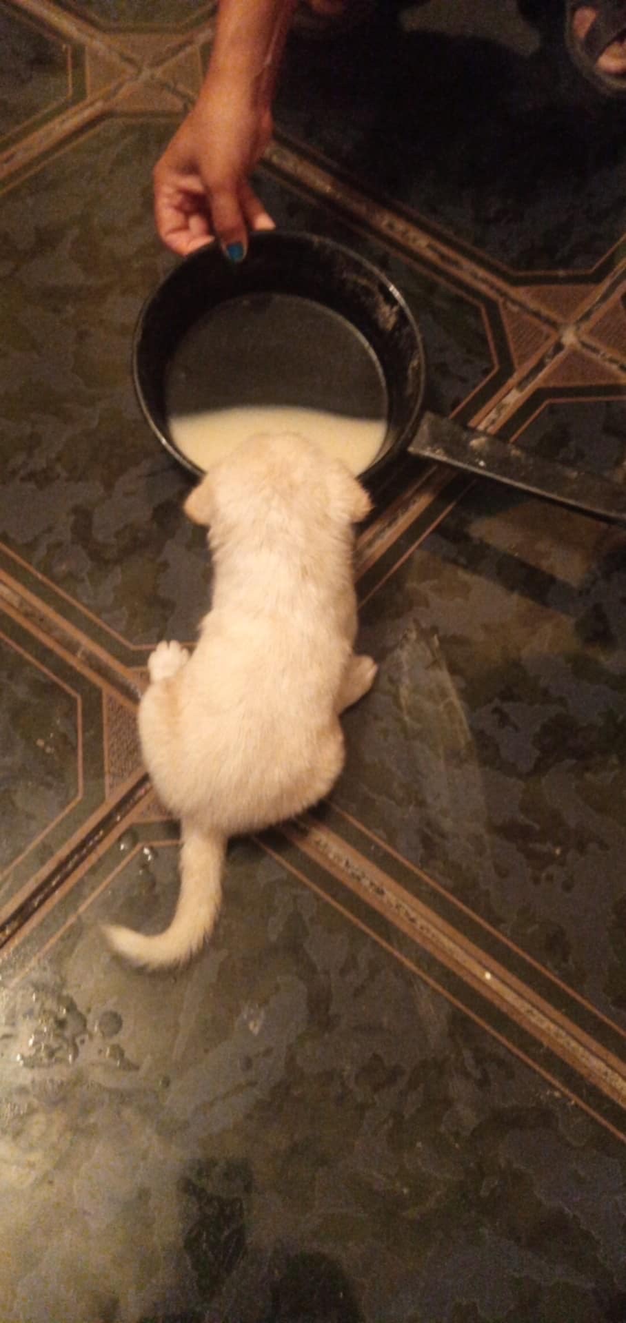 image-7