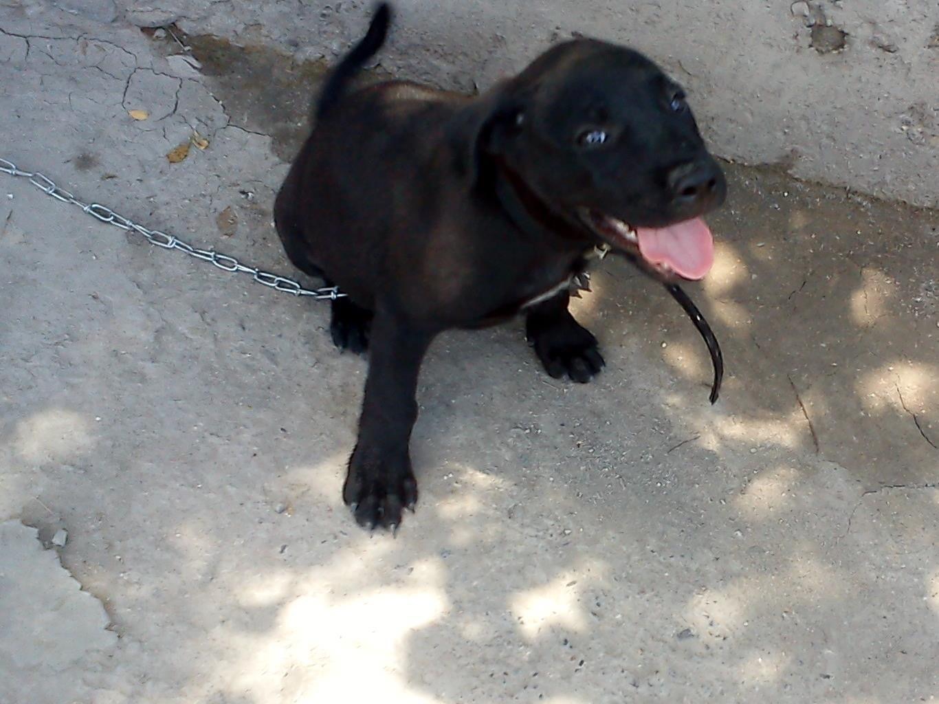 image-10