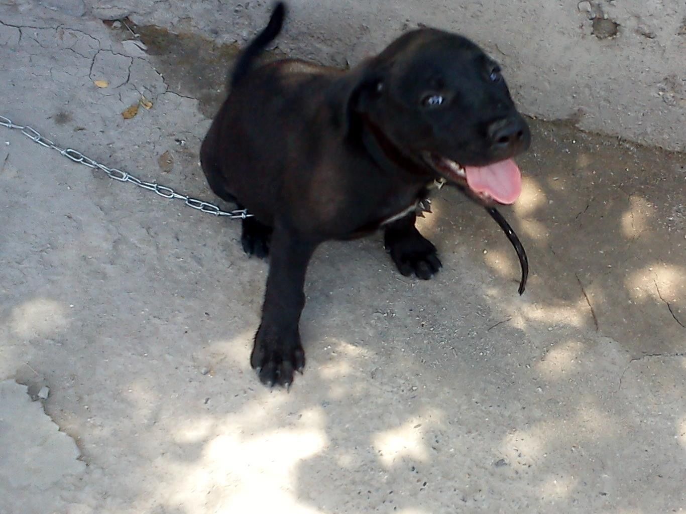 image-10